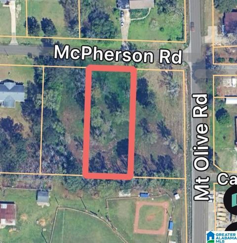 1210 MCPHERSON ROAD 3A MOUNT OLIVE AL 35117