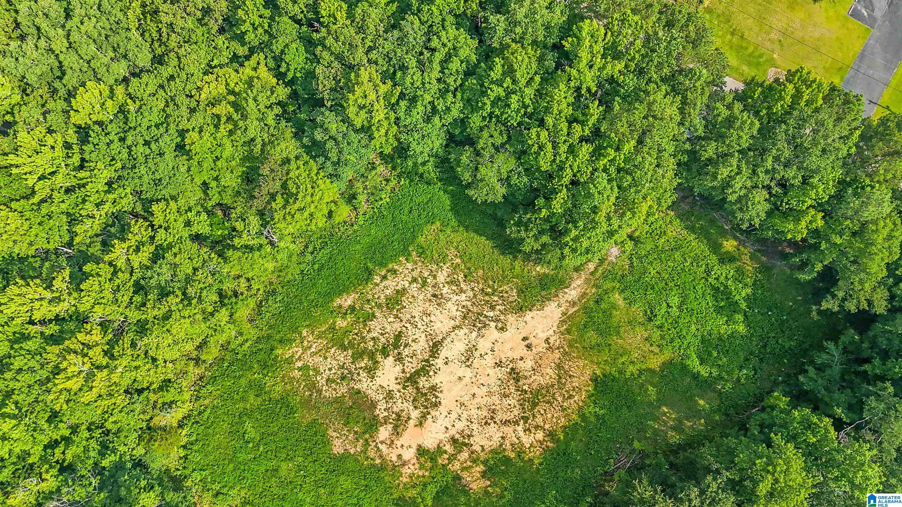 5312 CAHABA VALLEY COVE 2010