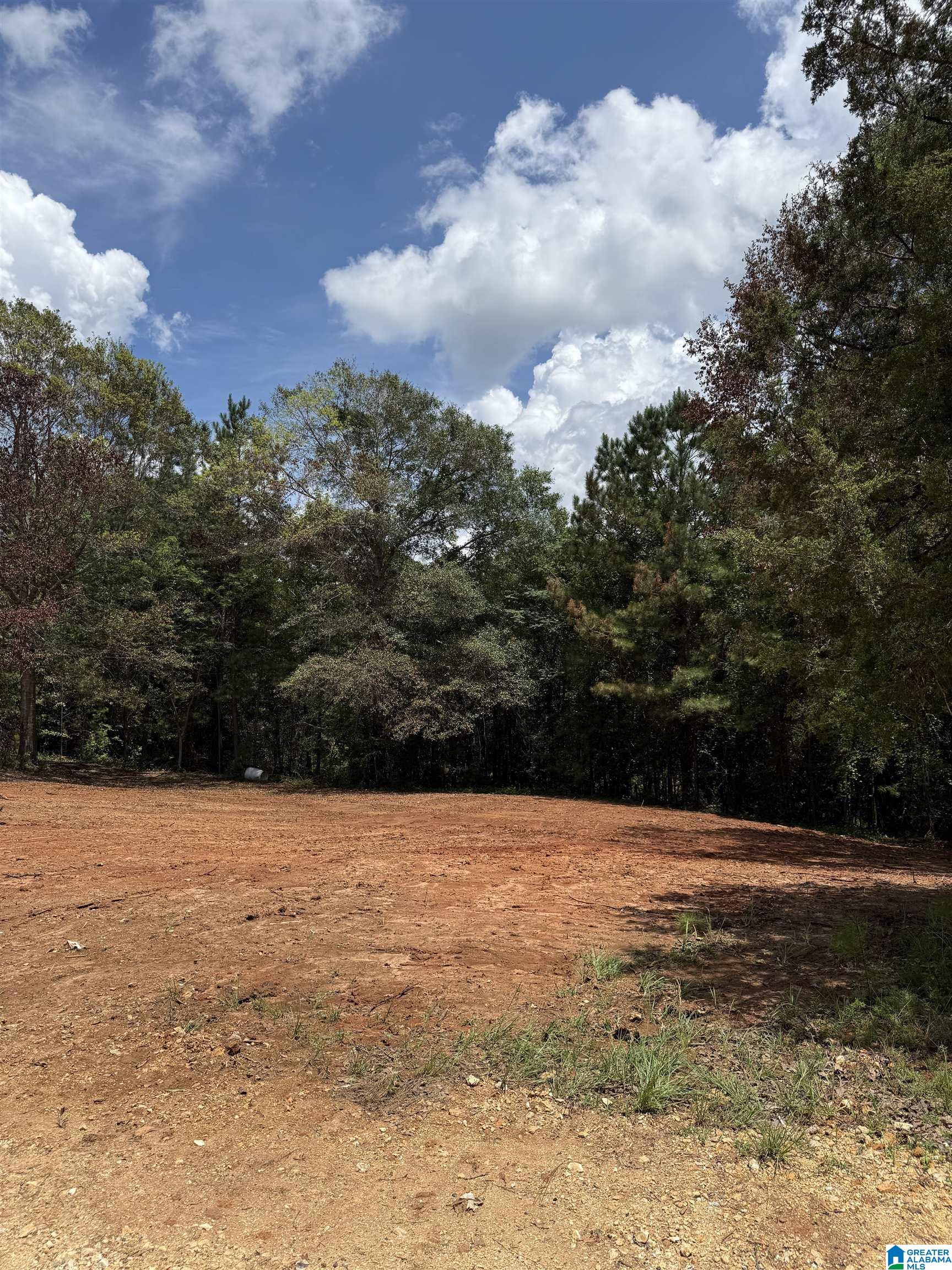 2718 OLD WOODSTOCK ROAD 0