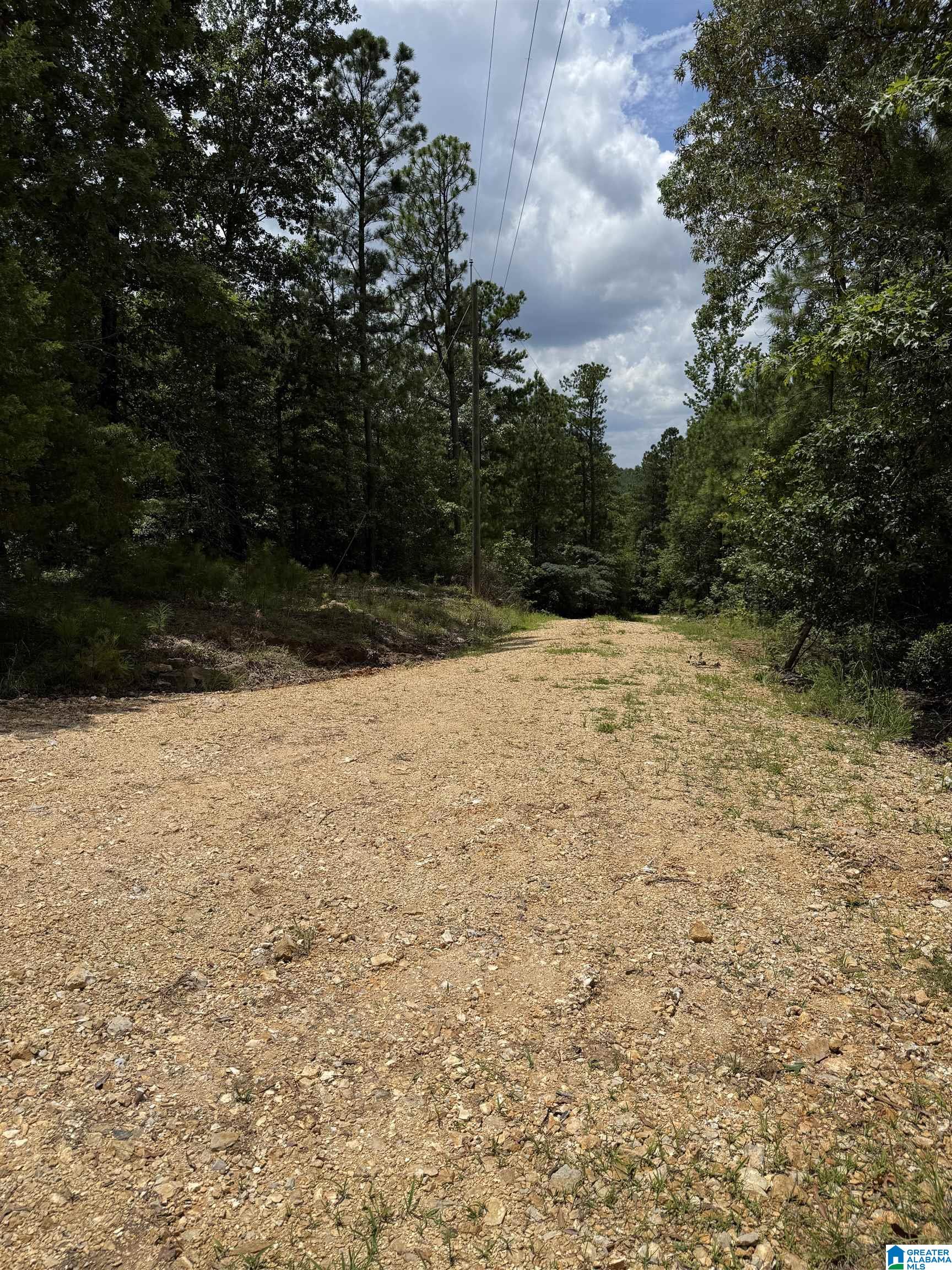 2718 OLD WOODSTOCK ROAD 0