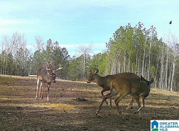 2718 OLD WOODSTOCK ROAD 0