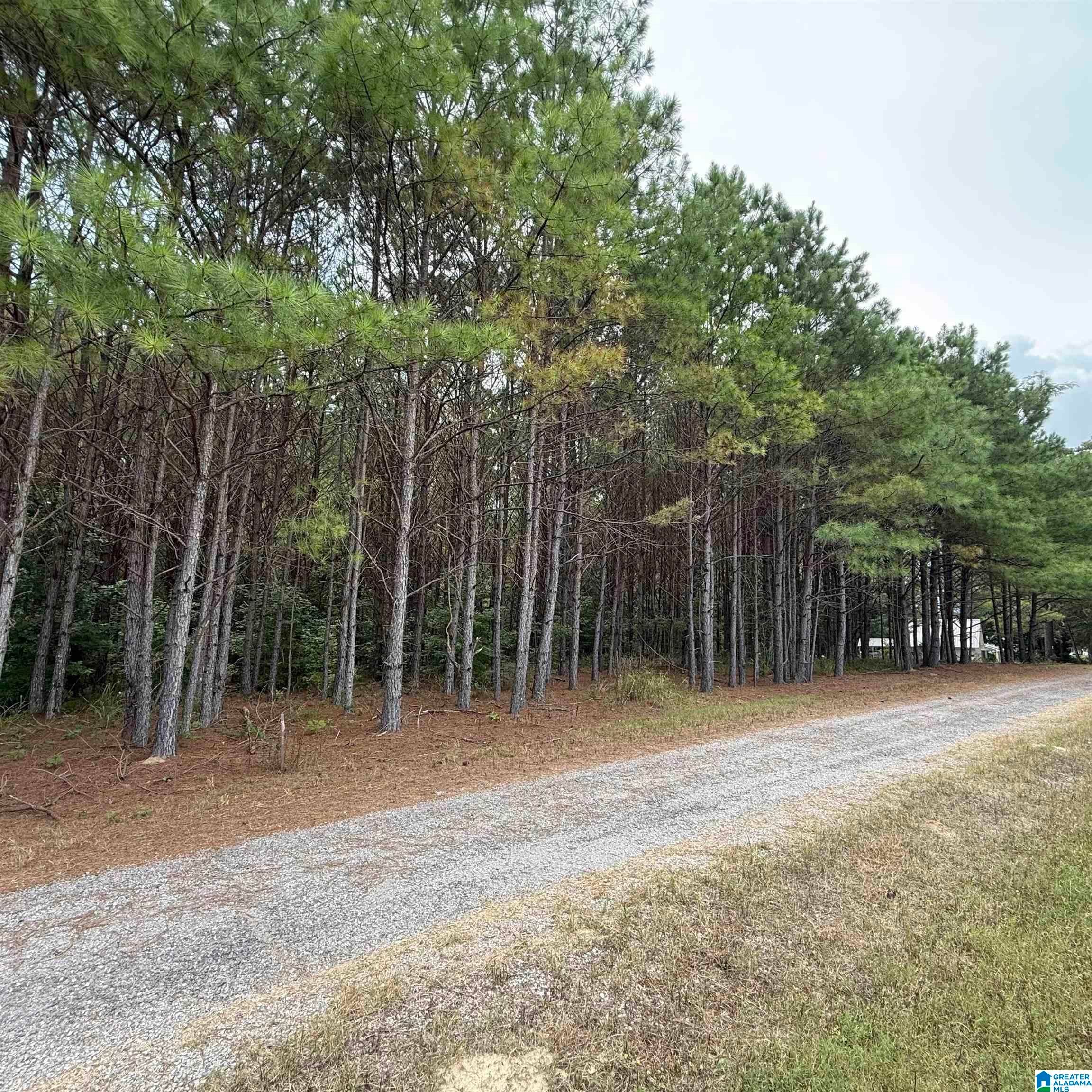 0 PINE LOOP DRIVE