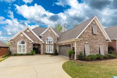 179 VICKIE DRIVE SPRINGVILLE AL 35146