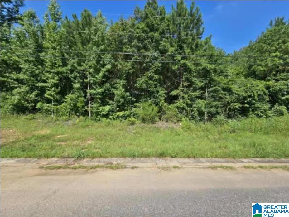 Photo 1 of 4 — Lot 6 WOODHAVEN DRIVE 6, PELL CITY, AL 35128