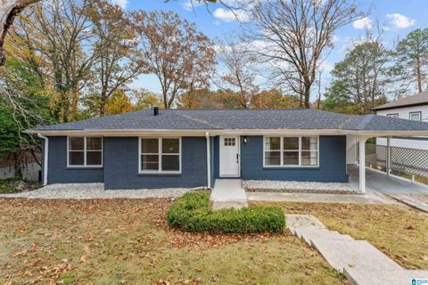 1041 SUNSET BOULEVARD BIRMINGHAM AL 35213