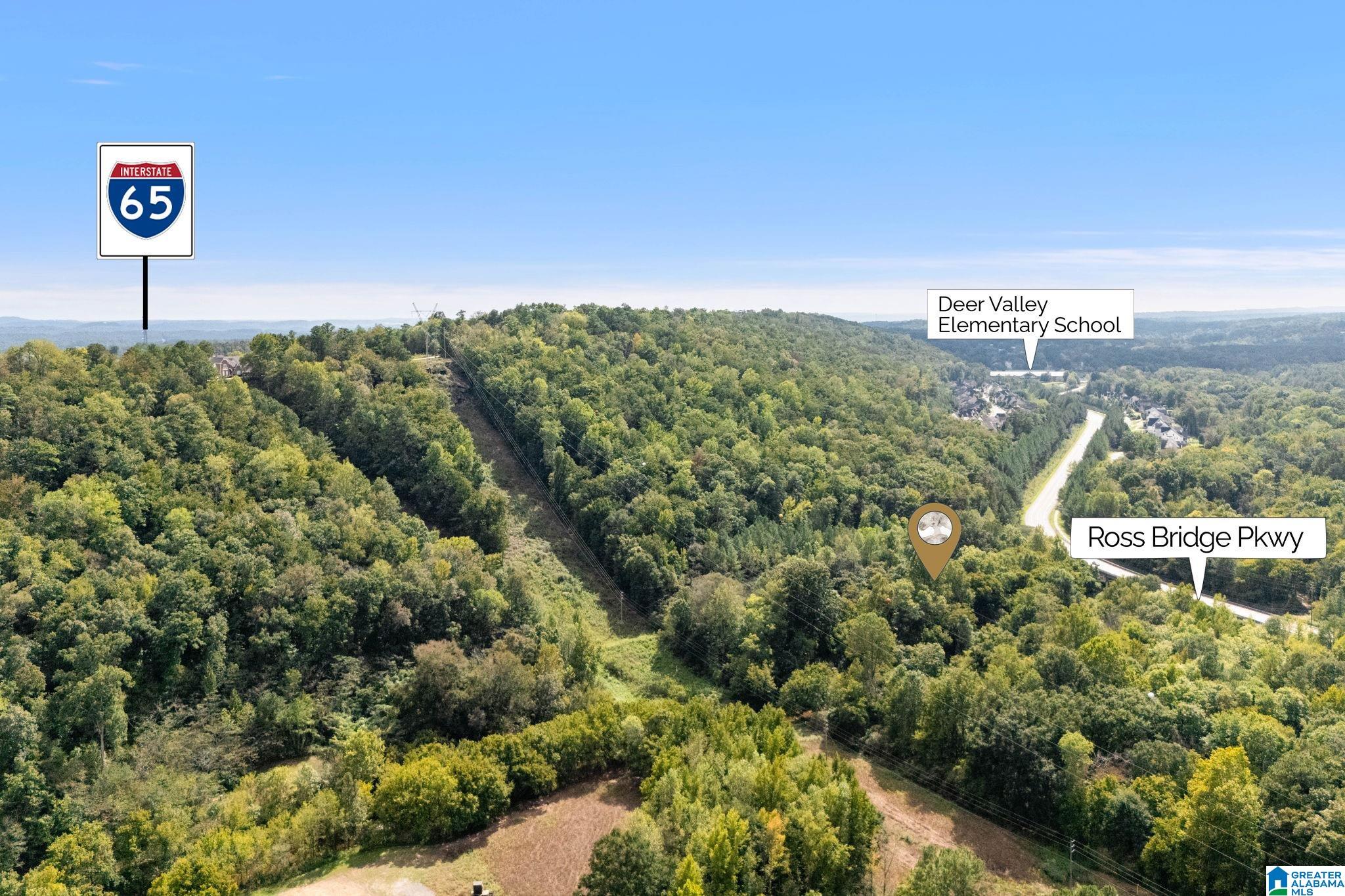 4420 ROSS BRIDGE PARKWAY 1