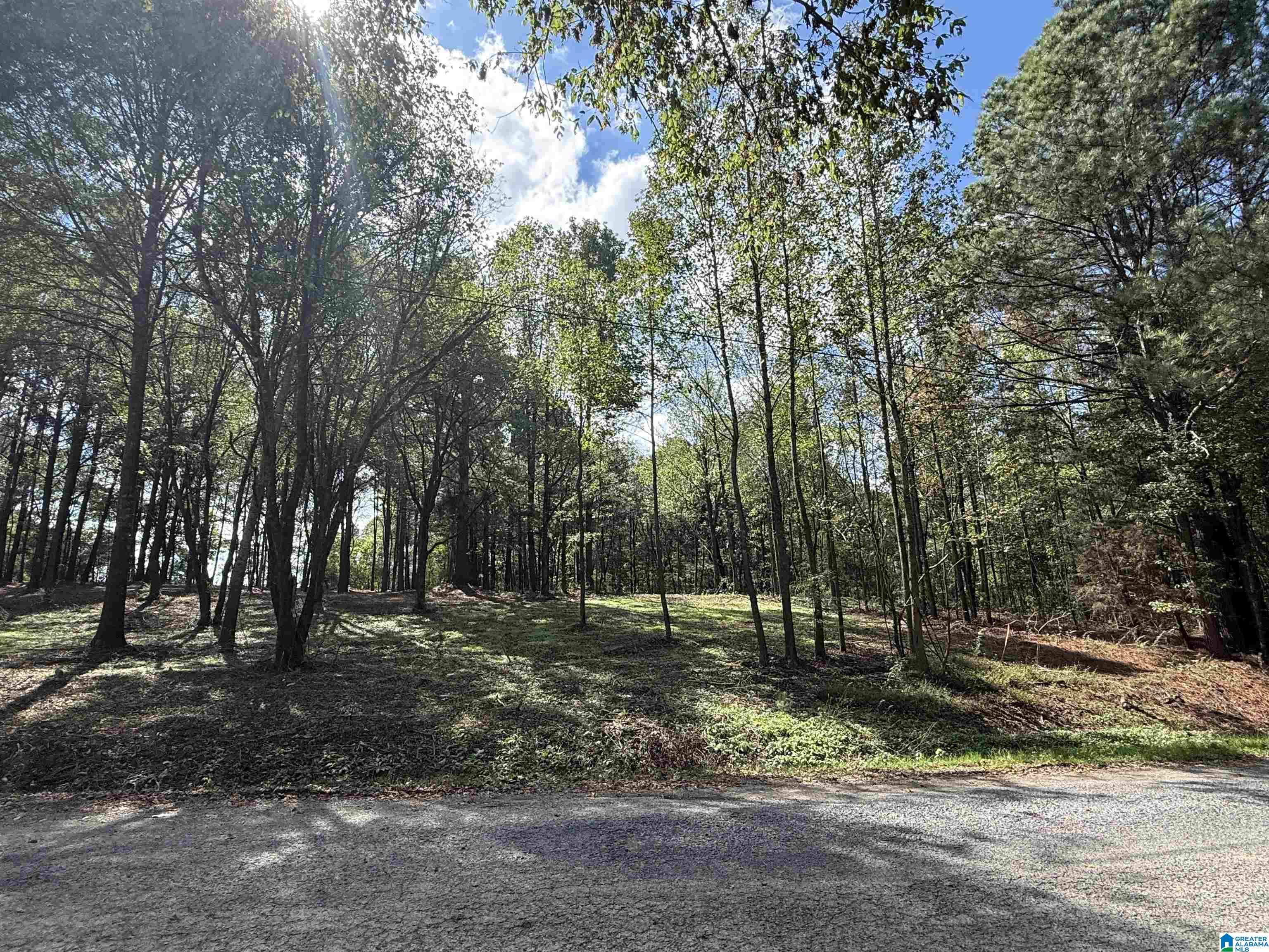 1B COUNTY ROAD 1123 1B