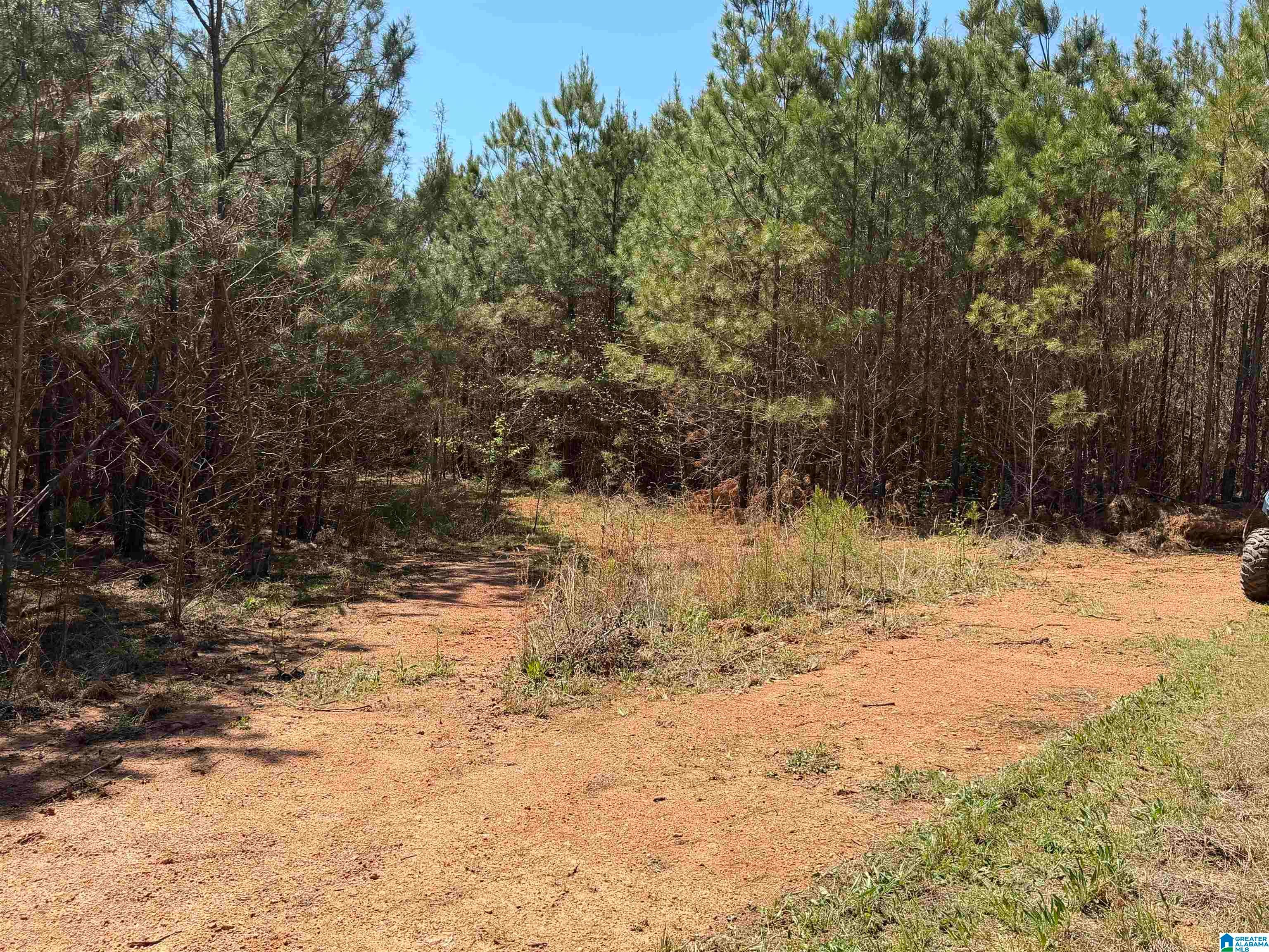 0 COUNTY ROAD 79 1