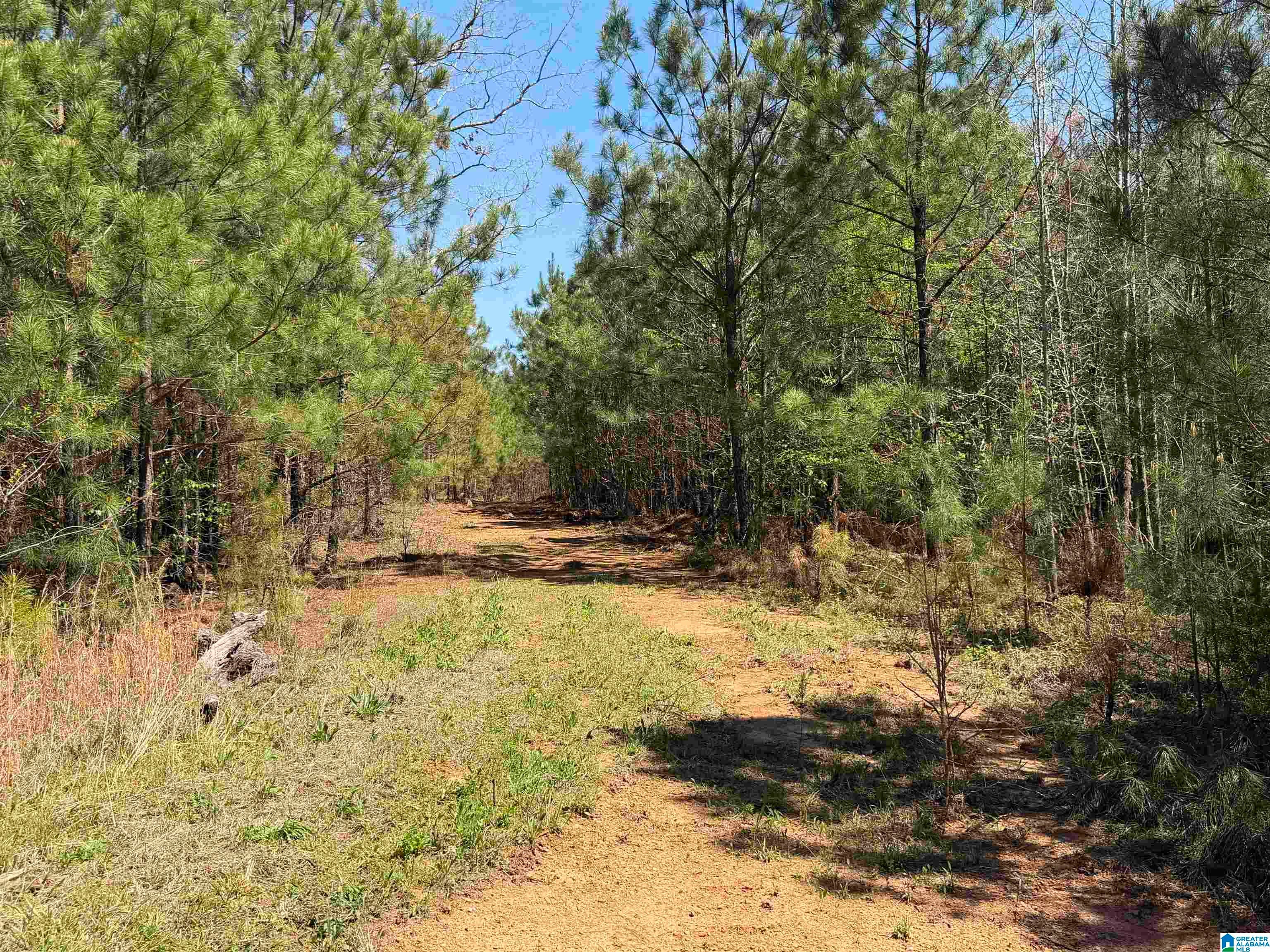 0 COUNTY ROAD 79 1