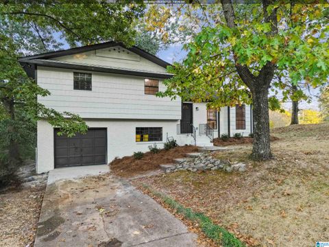 2617 NE 6TH STREET CENTER POINT AL 35215