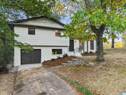 2617 NE 6TH STREET CENTER POINT AL 35215