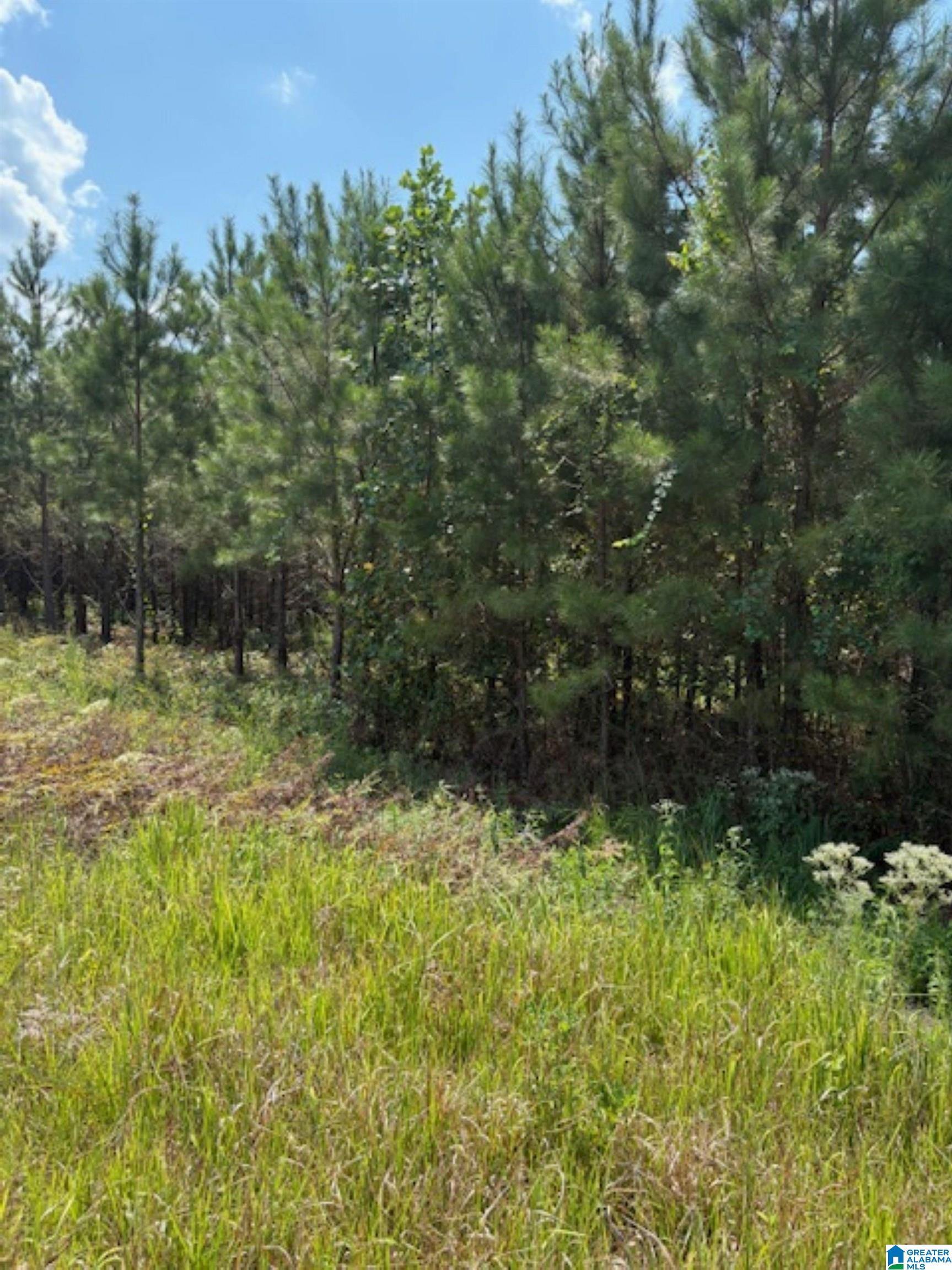 COUNTY ROAD 472 4 - Photo 2