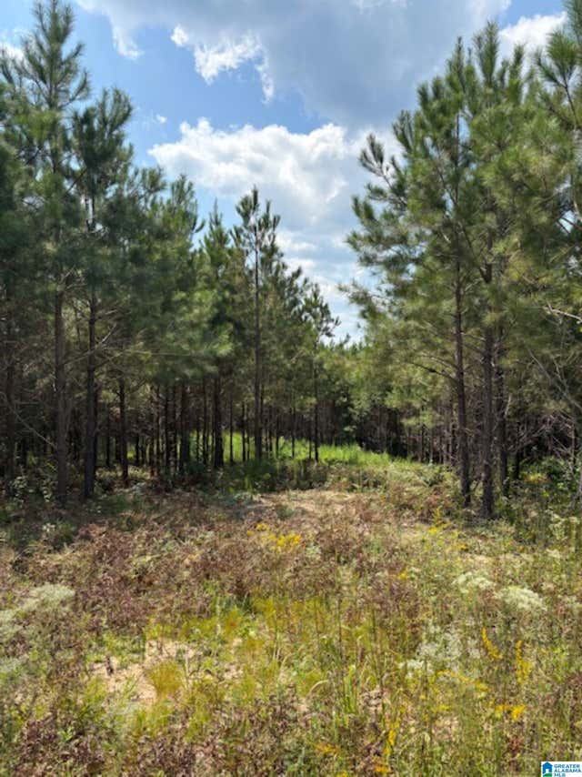 COUNTY ROAD 472 4