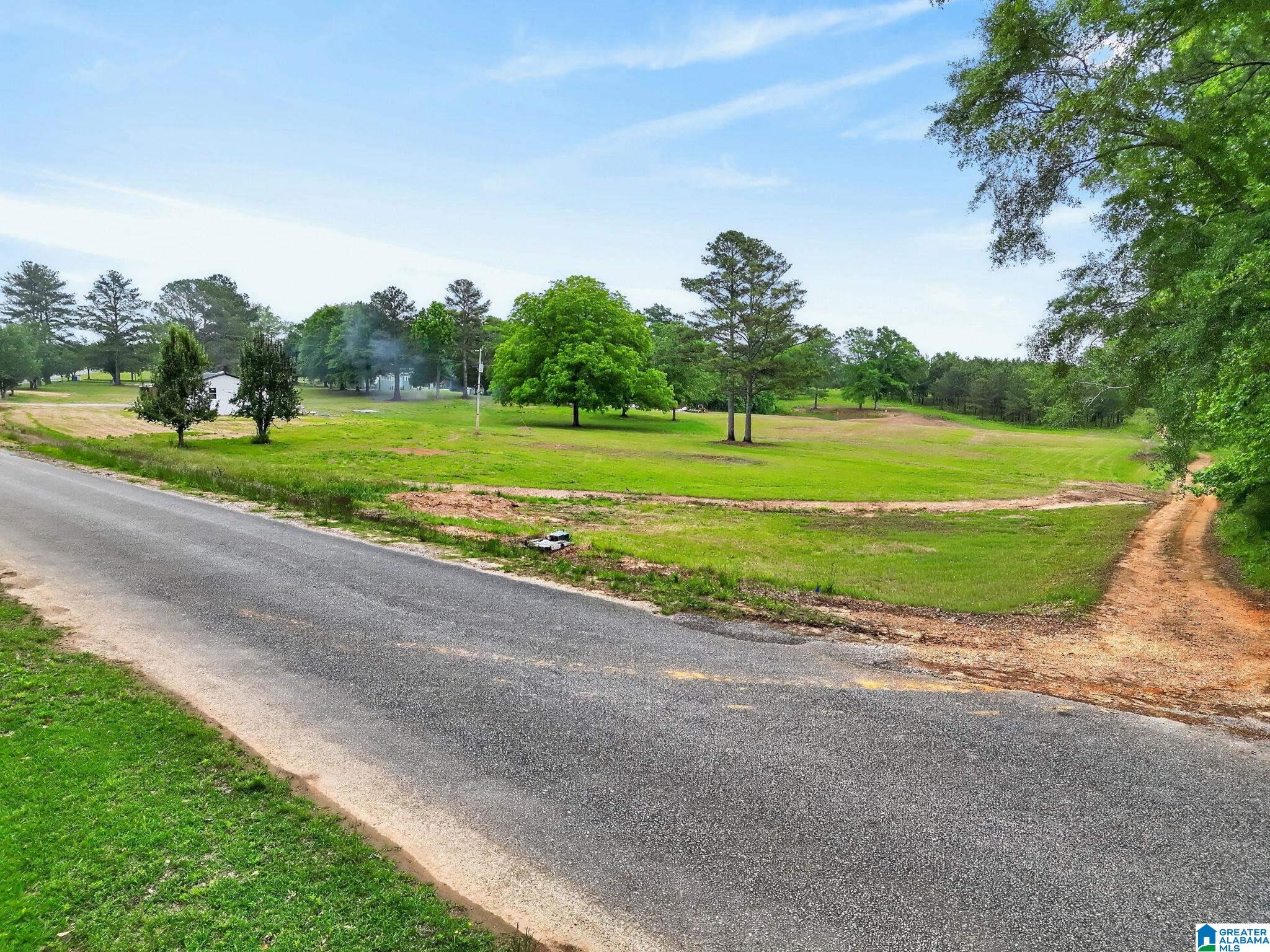 0 COUNTY ROAD 491 1 - Photo 2