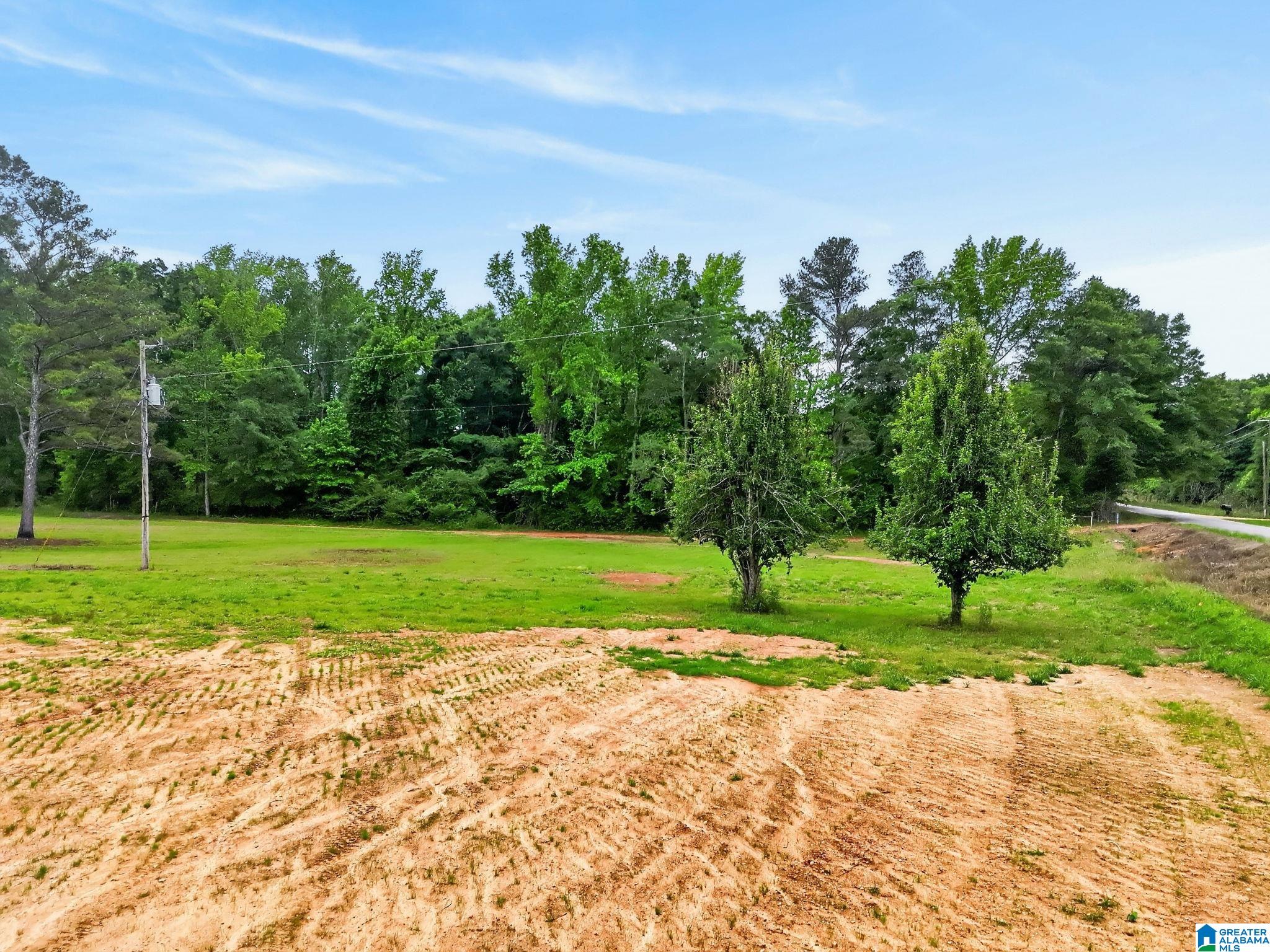 0 COUNTY ROAD 491 1 - Photo 3
