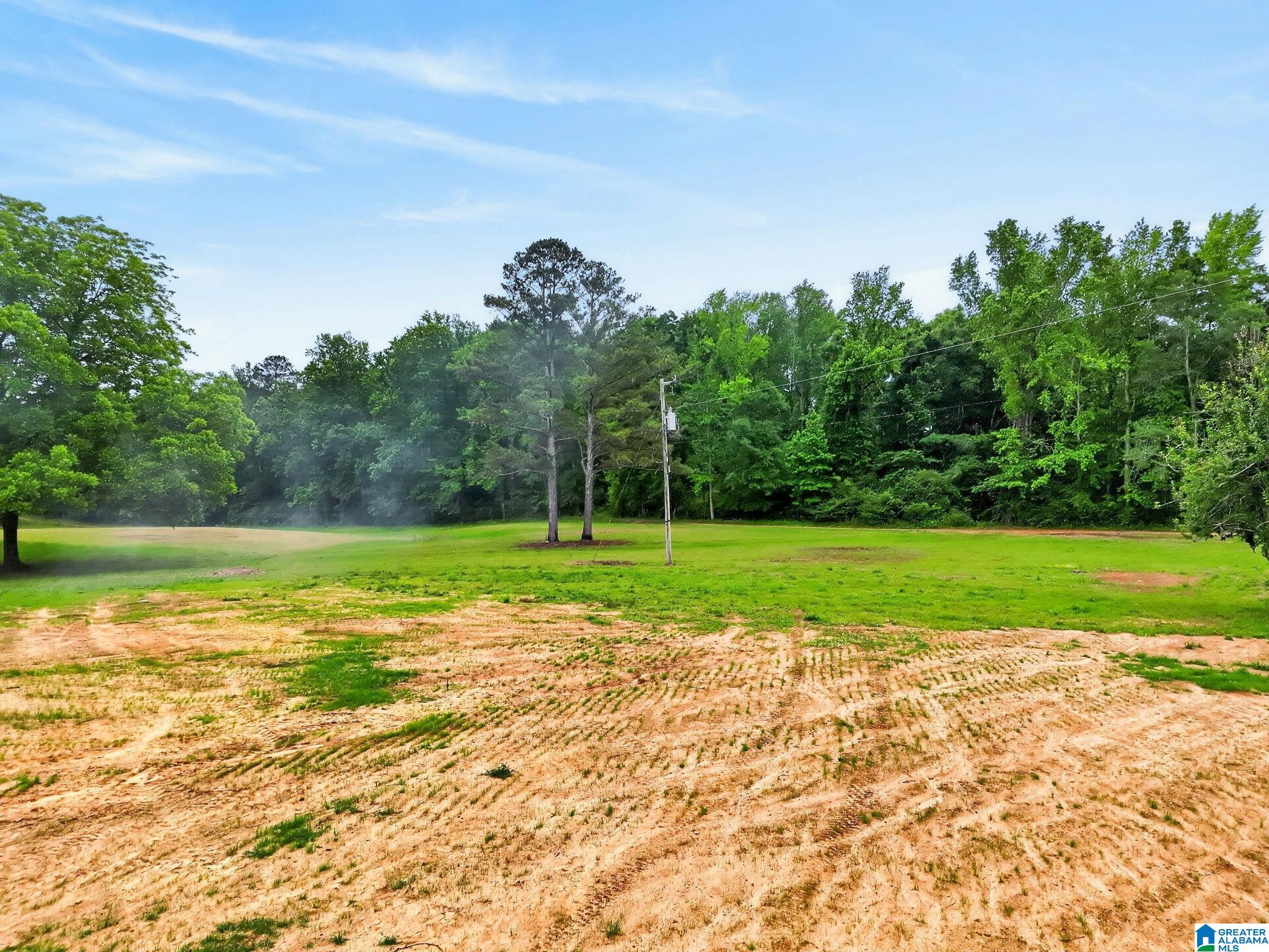 0 COUNTY ROAD 491 1 - Photo 4