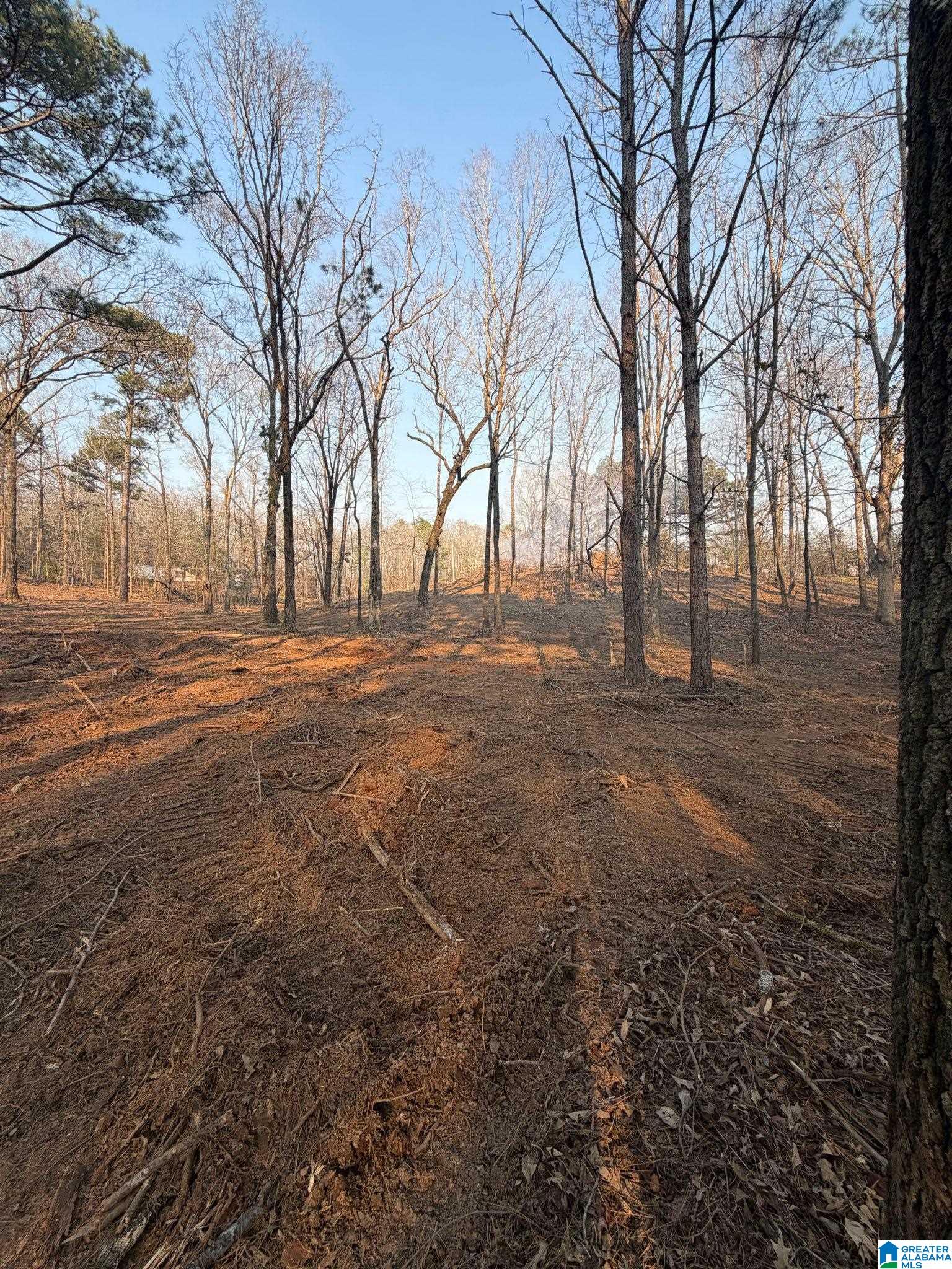 Photo 1 of 3 — 1895 EUREKA ROAD none, LINCOLN, AL 35096
