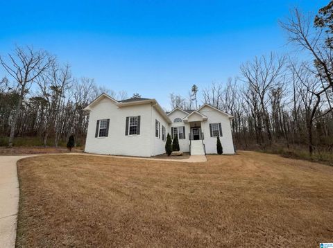 1250 LAKESIDE DRIVE ADAMSVILLE AL 35111