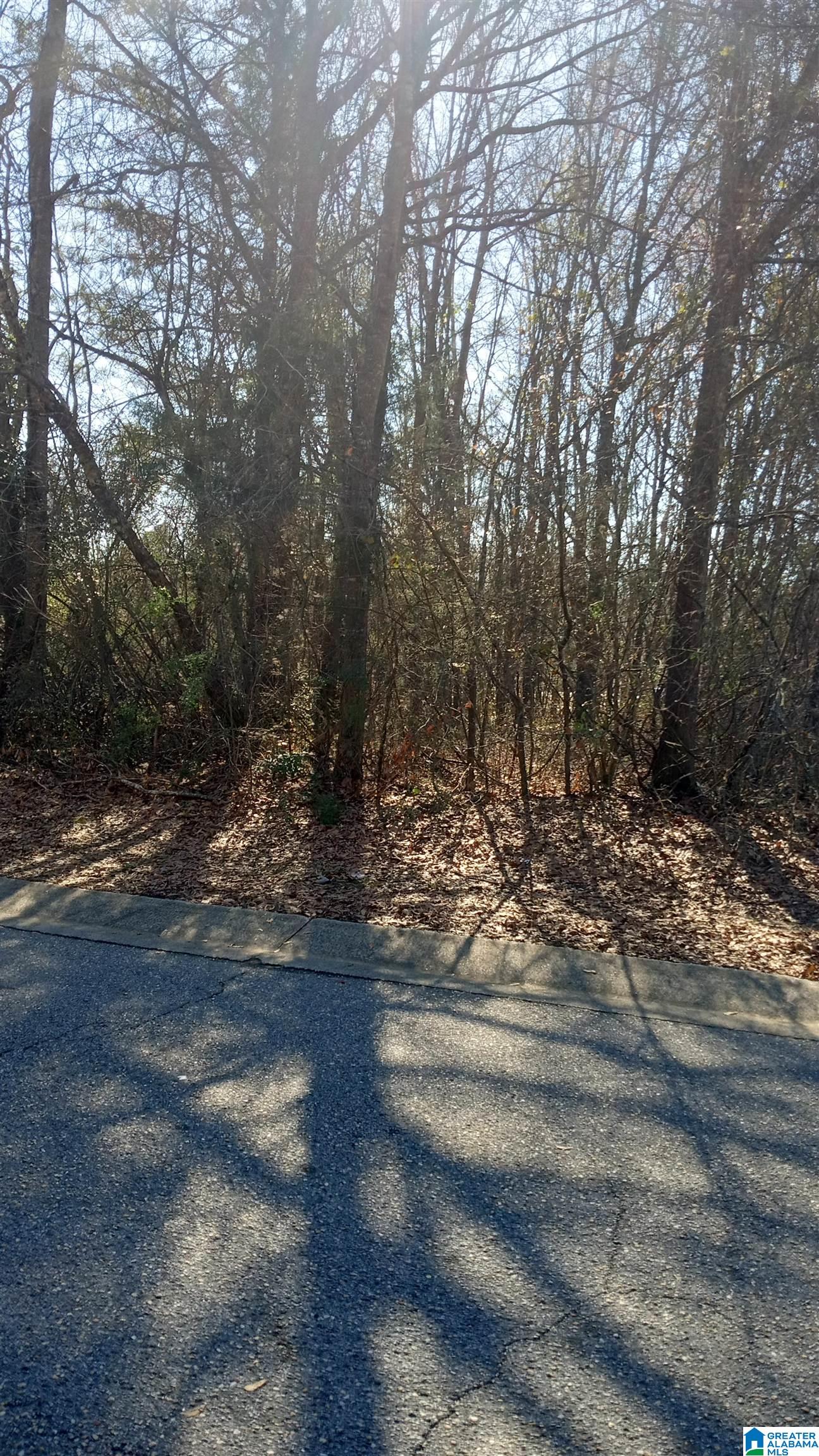 Photo 1 of 1 — 1207 KELLY CREEK STREET 1, BRIGHTON, AL 35020