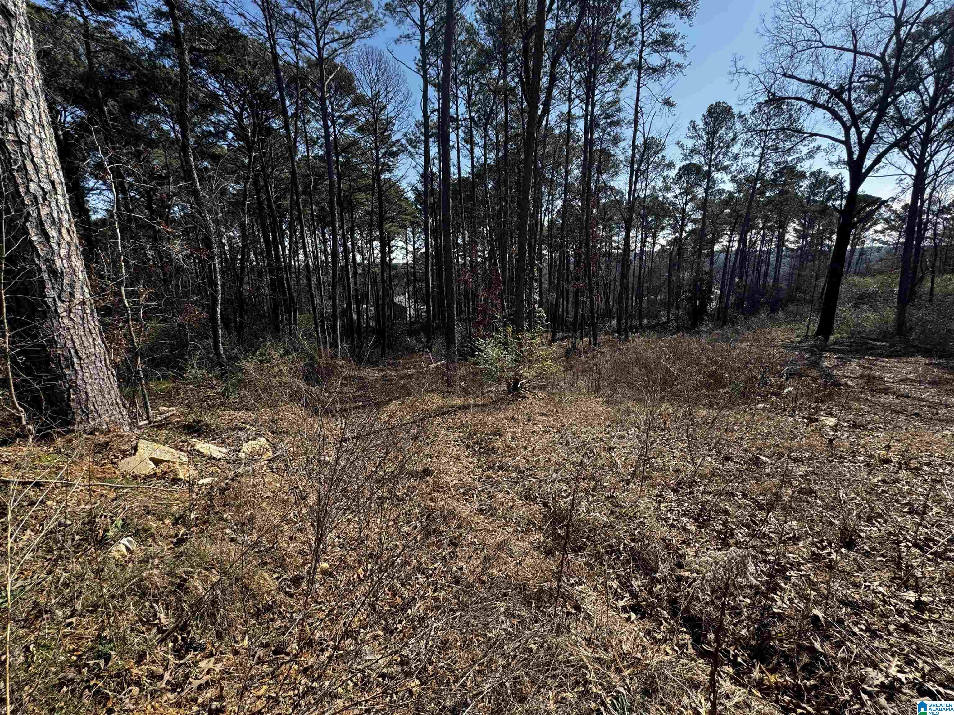 250 TWIN LAWN DRIVE 1