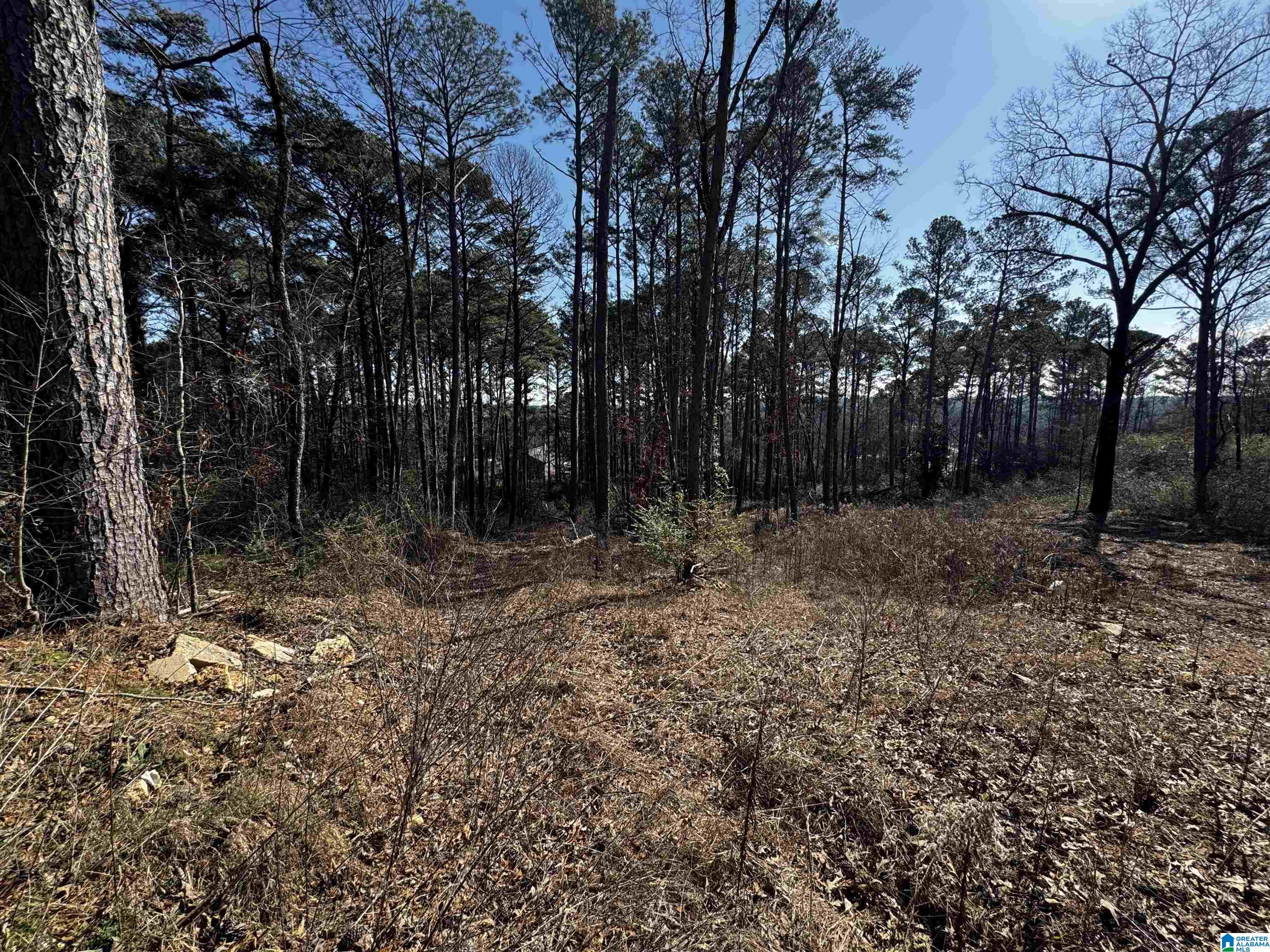 250 TWIN LAWN DRIVE 1