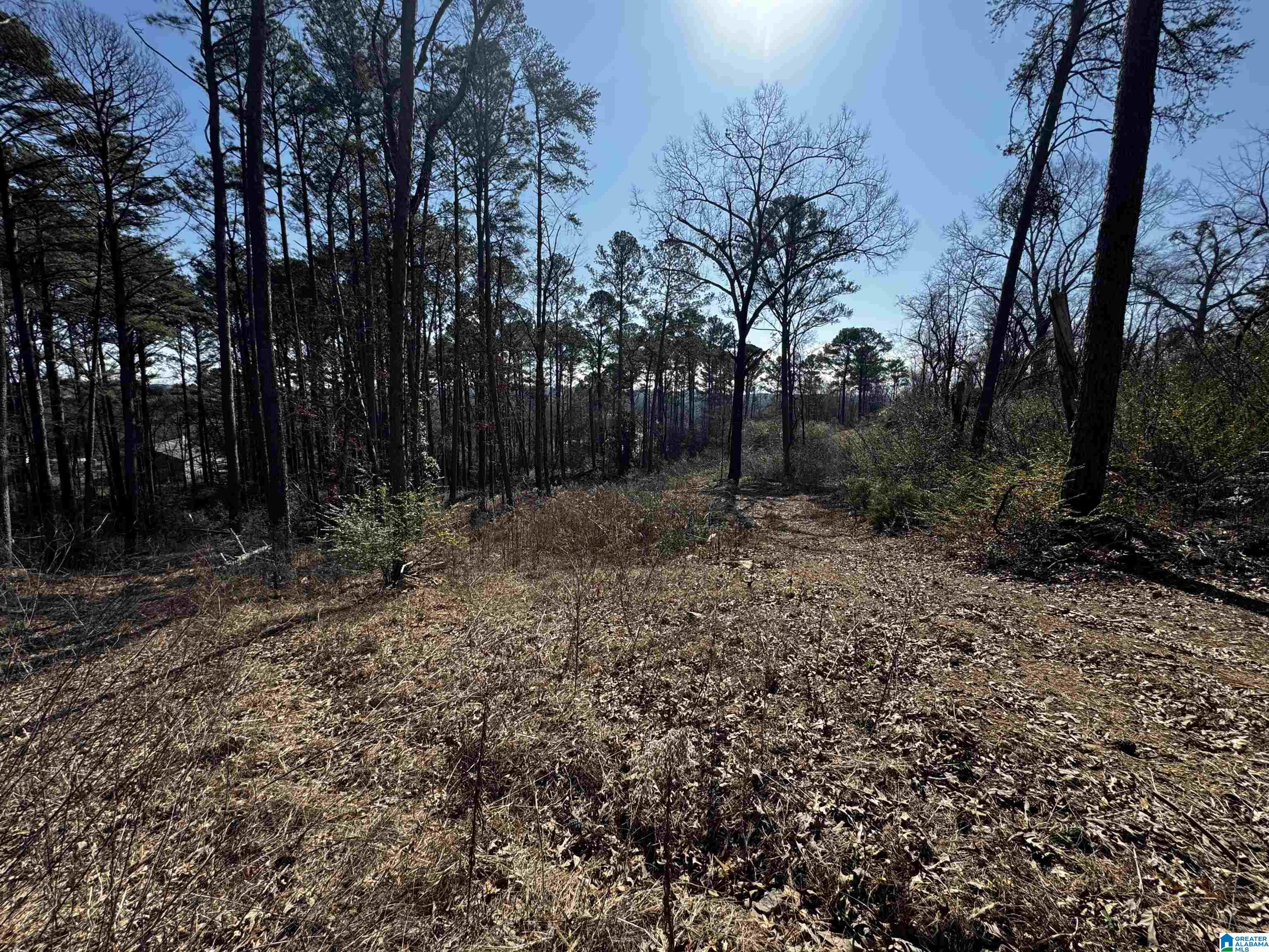 250 TWIN LAWN DRIVE 1