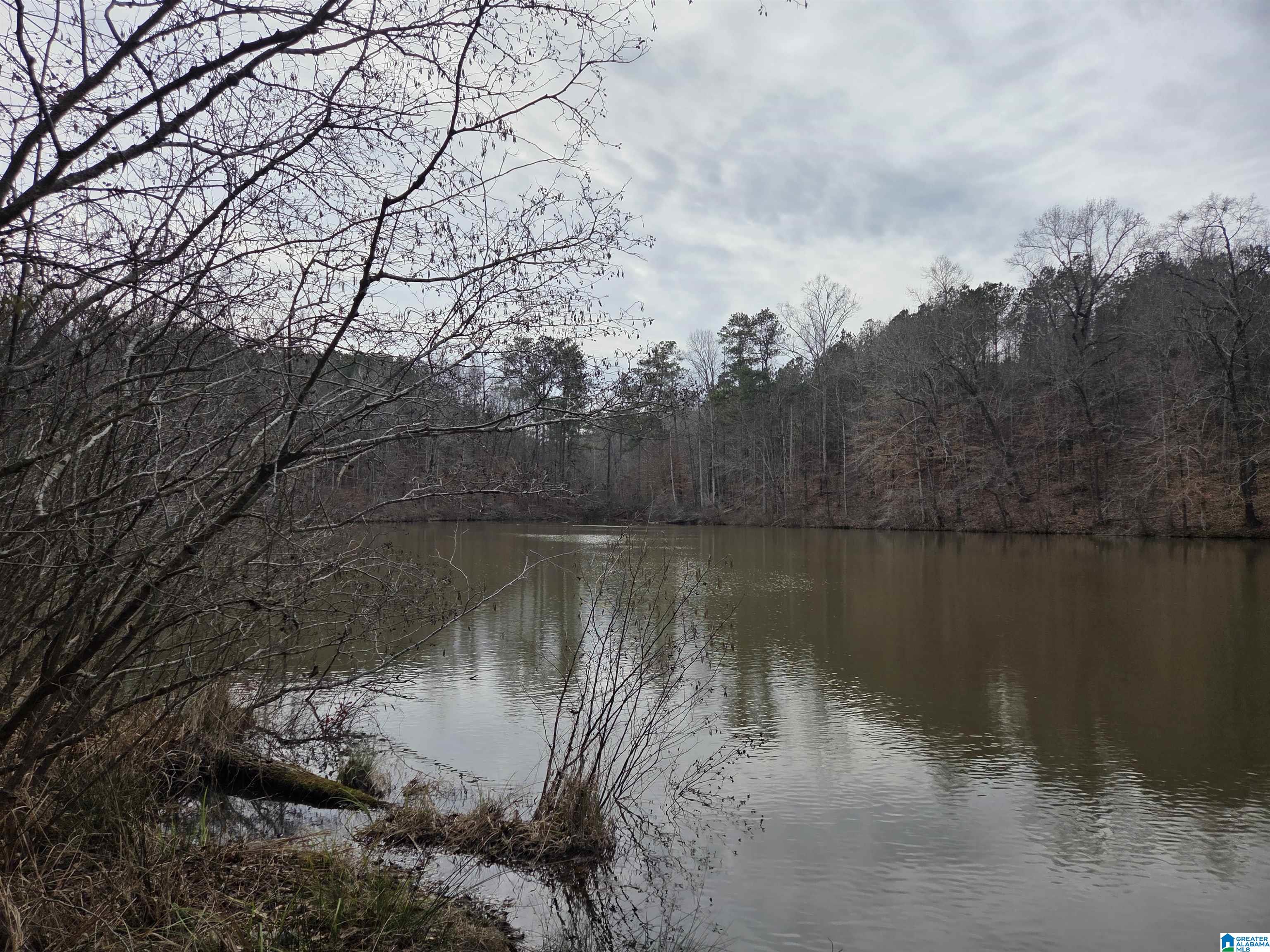 Photo 1 of 7 — 1050 BROOKWOOD DRIVE 1050, SYLACAUGA, AL 35151