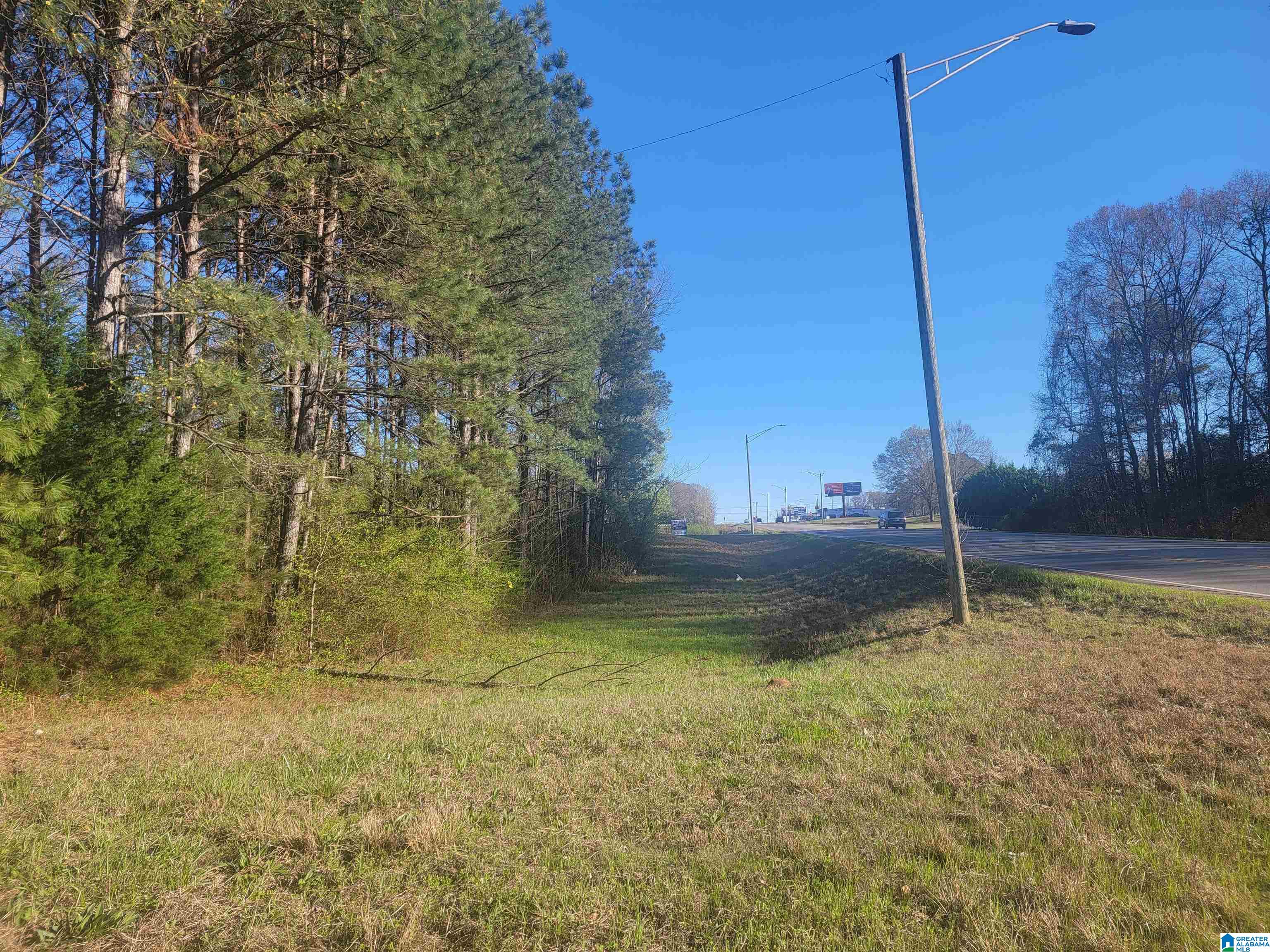 Photo 1 of 2 — 3.02 +/- Acres HIGHWAY 431 Parcel #2, ROANOKE, AL 36274