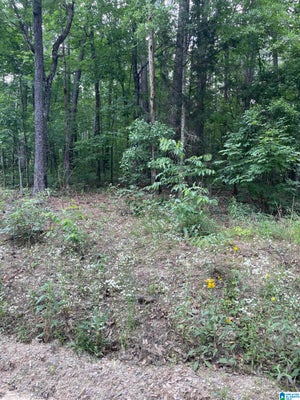 MURIEL DR, VANCE, AL 35490 - Image 67b01a76c8f2ee010c8c99683cba3105/3152494017