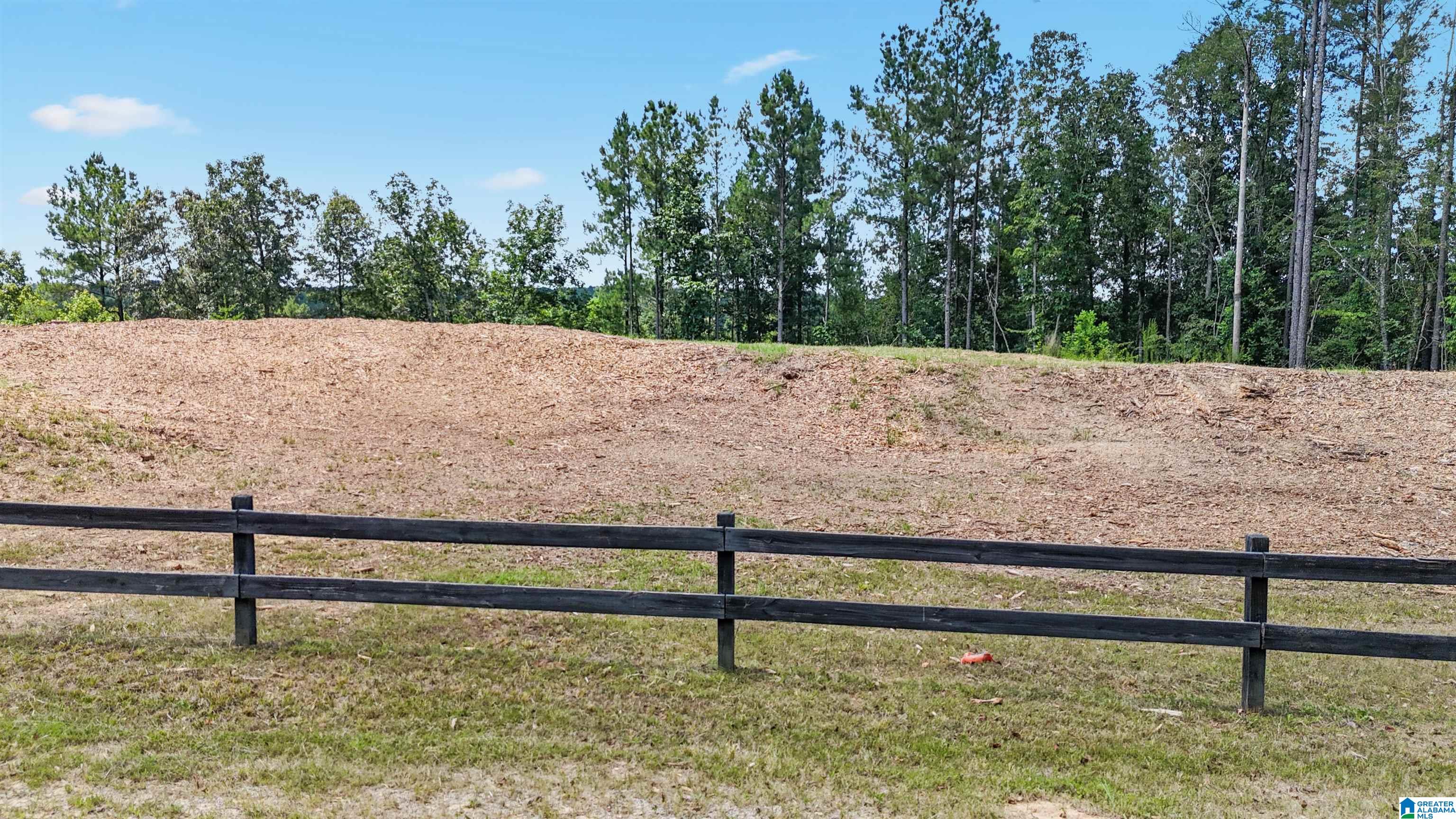 8871 SHADES FALLS WAY 1