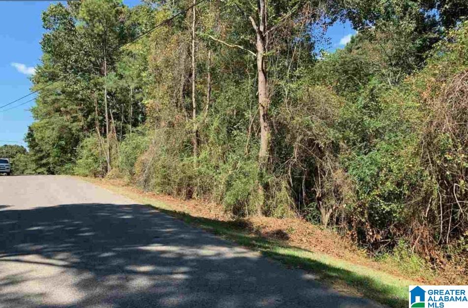 Photo 1 of 2 — 3276 FIELDALE DRIVE 25, HUEYTOWN, AL 35023