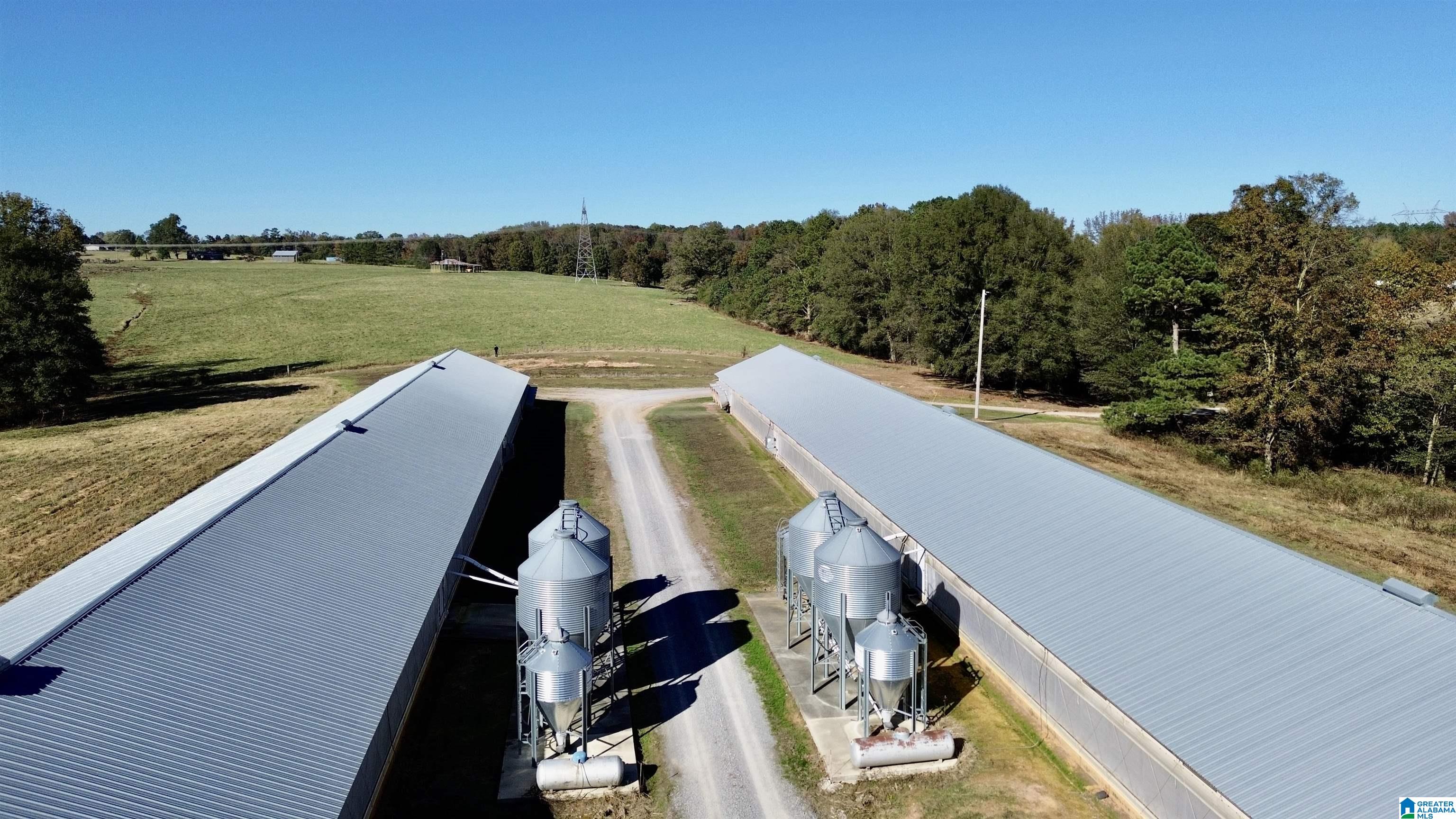 1373 & 1379 COUNTY ROAD 1669