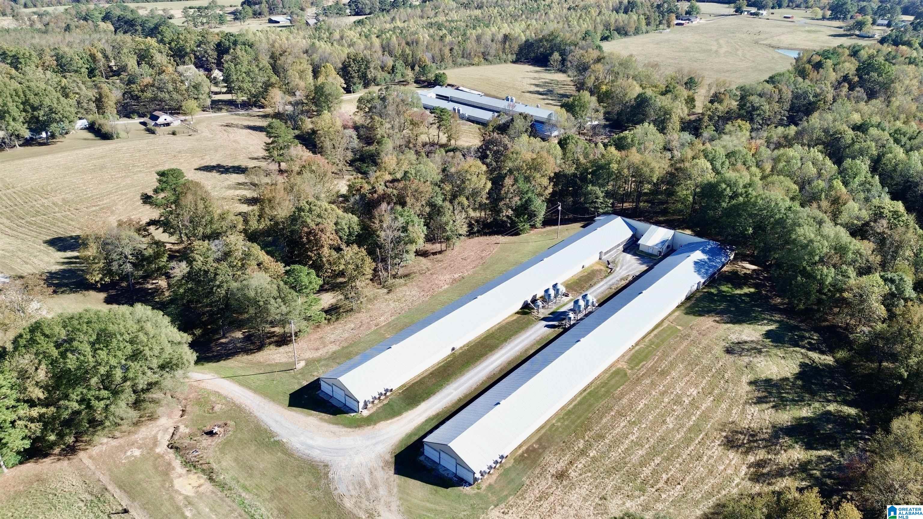 1373 & 1379 COUNTY ROAD 1669