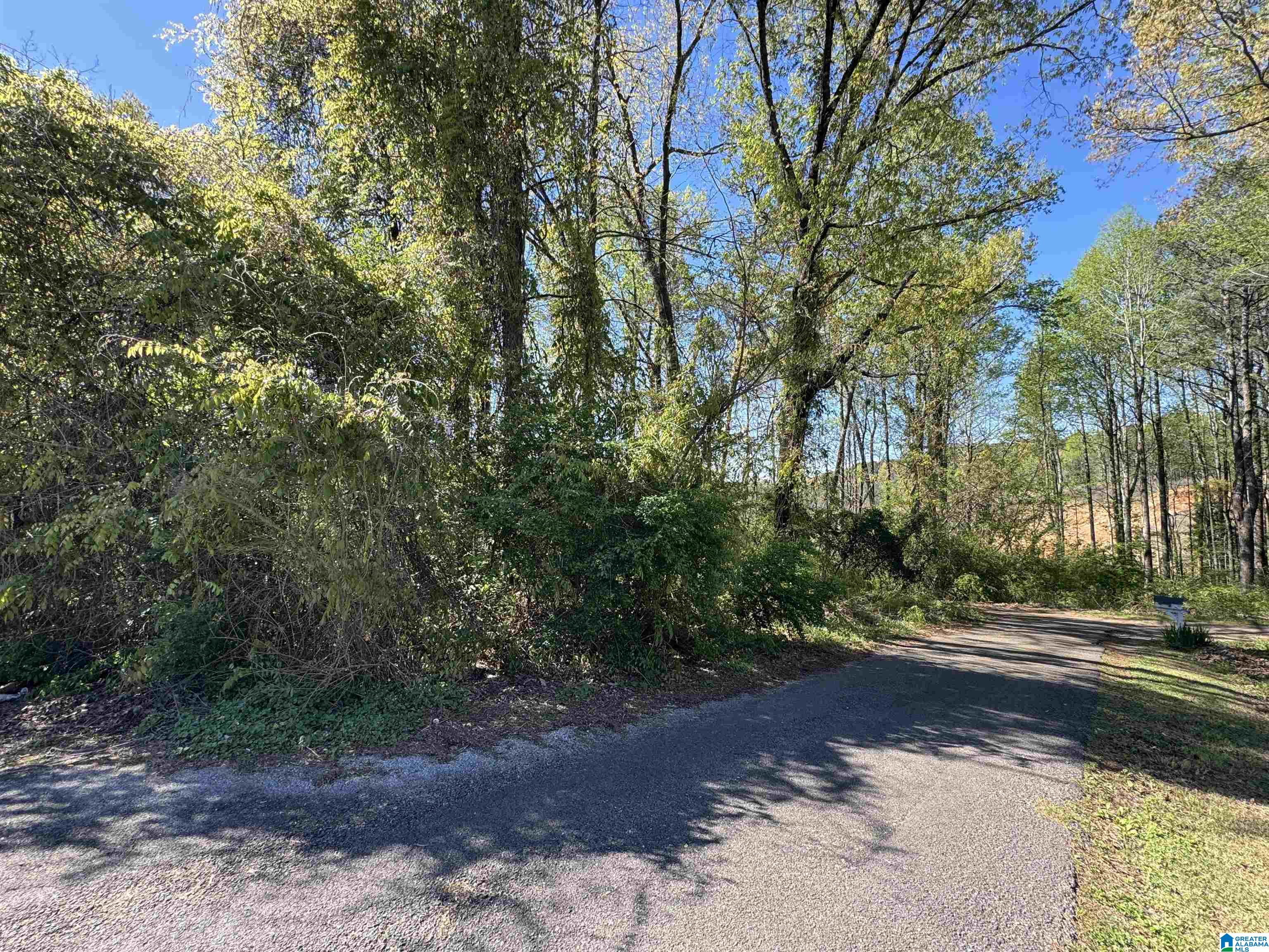 Photo 1 of 1 — 128 ROSEMARY AVENUE 3, DORA, AL 35062