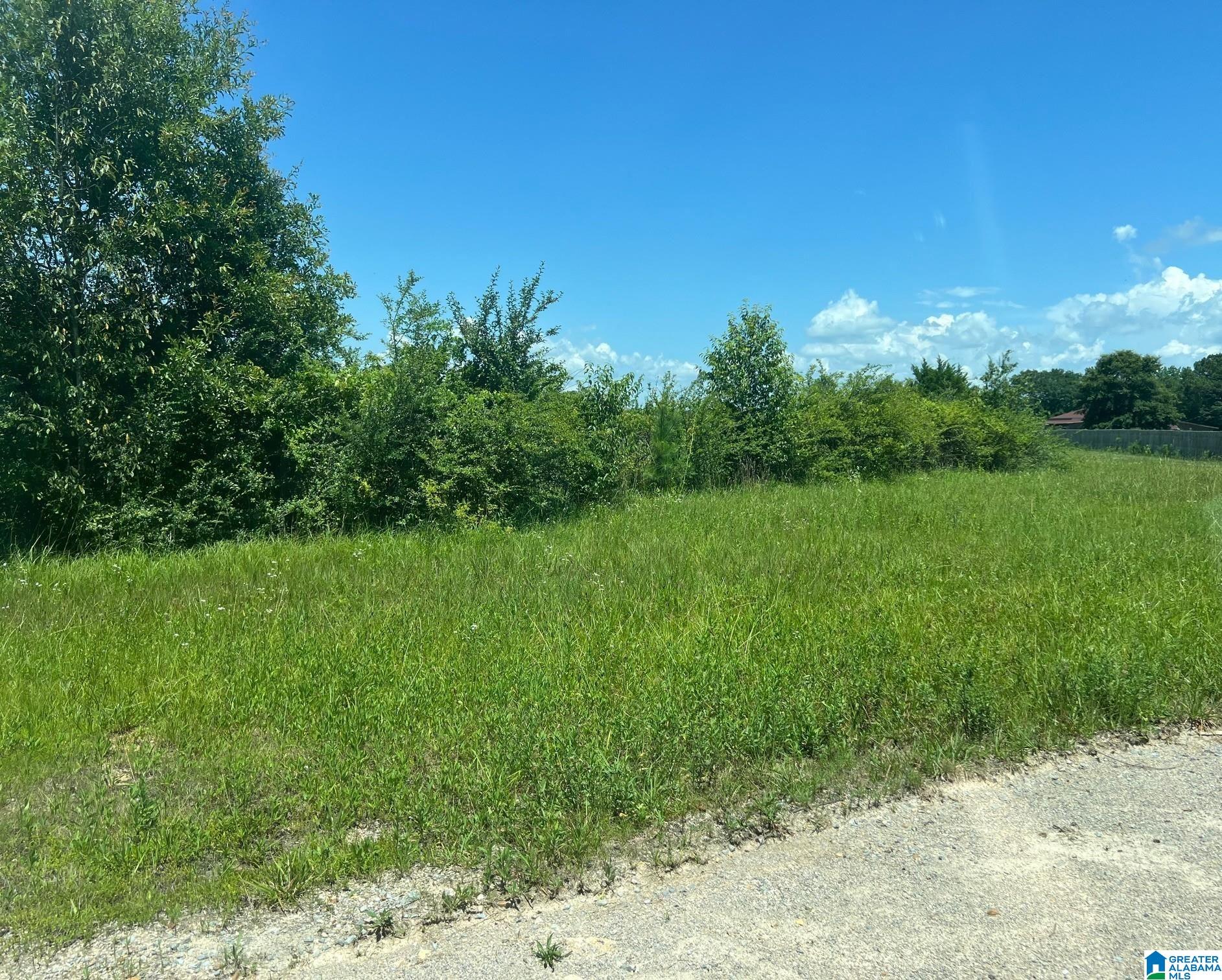 Photo 1 of 5 — PLUM CREEK DRIVE none, VINCENT, AL 35178