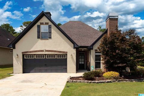 100 WILLOW VIEW LANE CHELSEA AL 35186