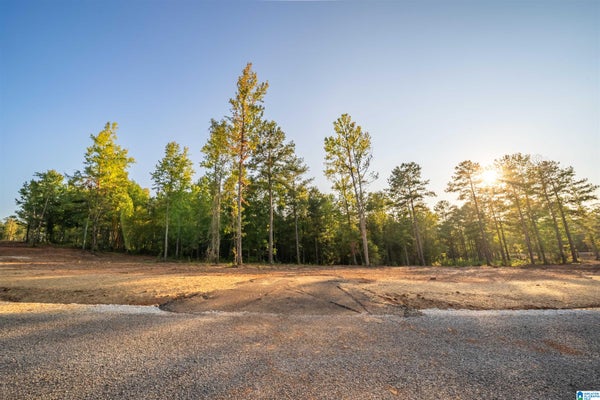 ADDRESS PRIVATE, WEDOWEE, AL 36278 - Image 6963cfd8b82c0c8fff4cfb64145f8b9a/1081120034