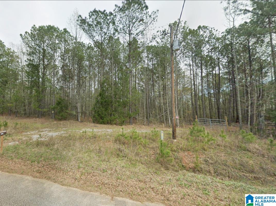 0 COUNTY ROAD 864 -