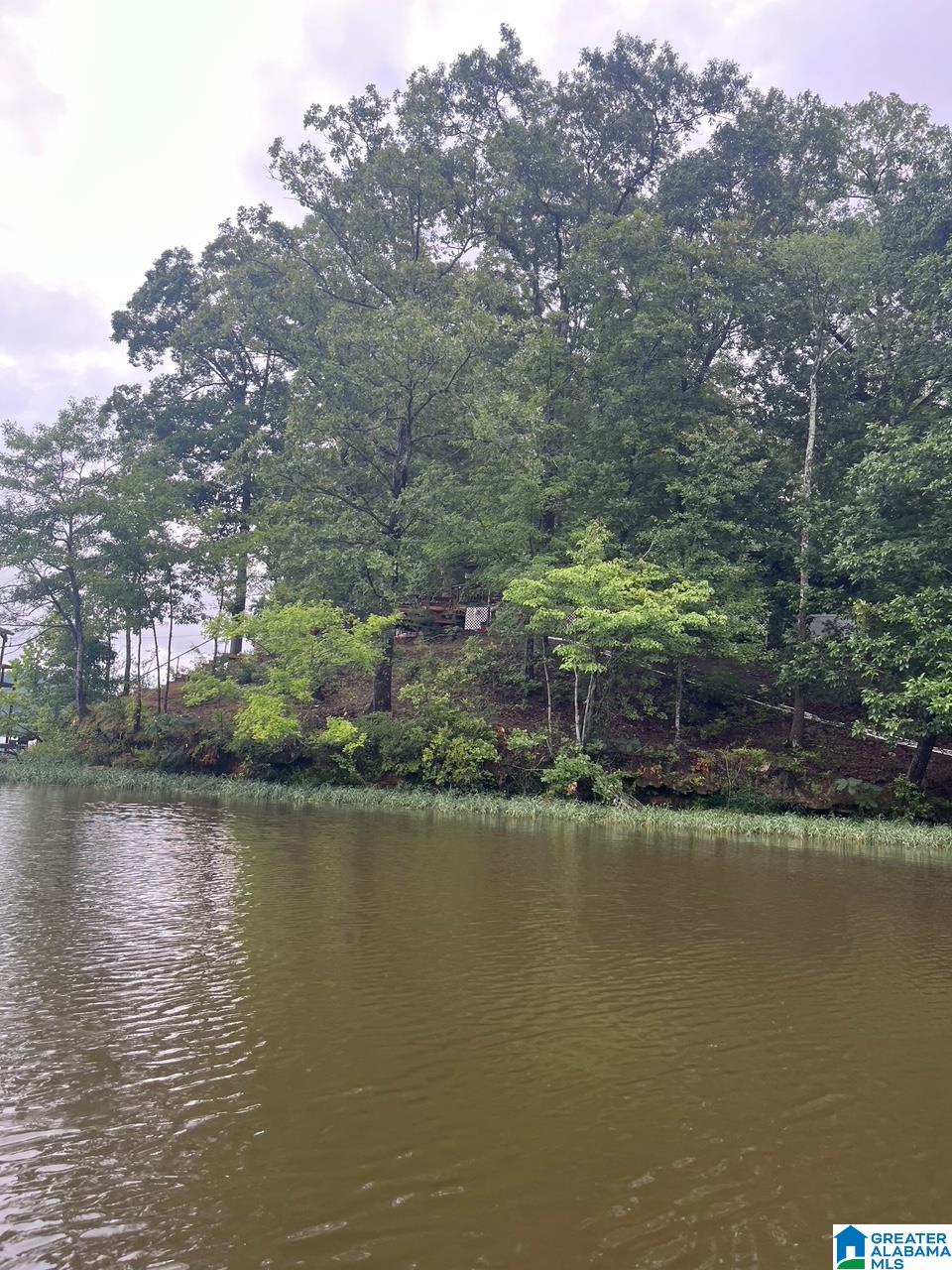 355 MARION PEAK LANE
