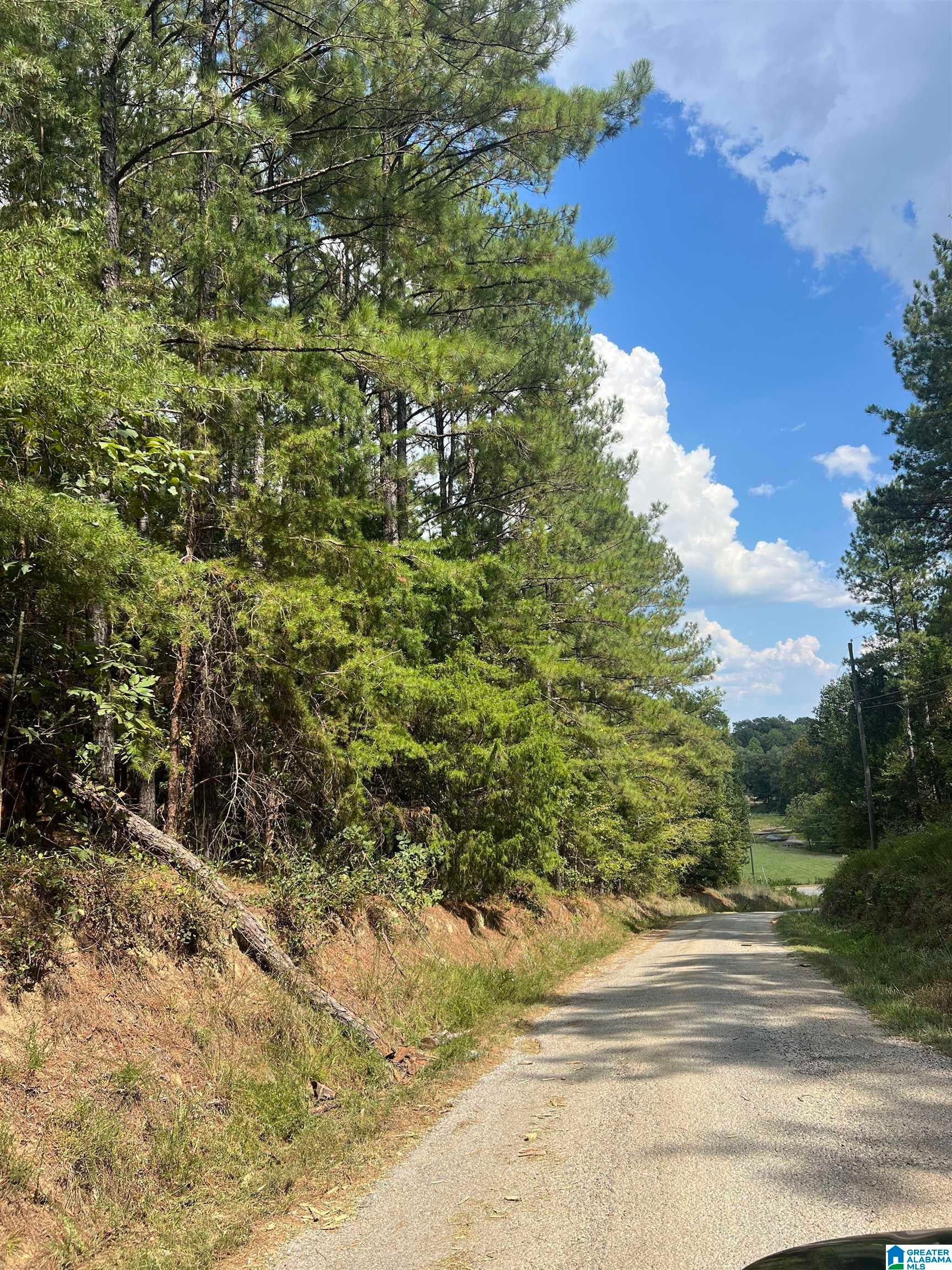 COUNTY ROAD 8 1