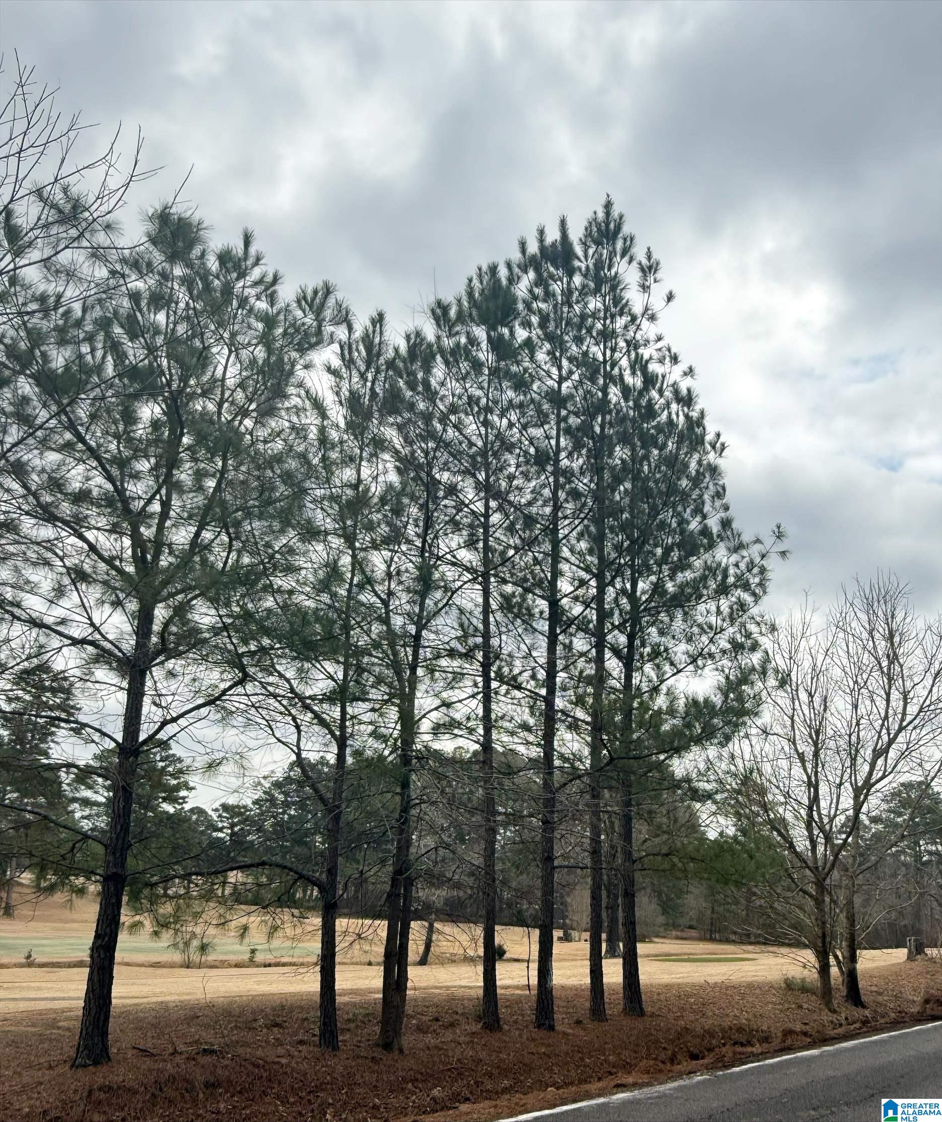 Photo 1 of 8 — 9040 MARSH MOUNTAIN ROAD 0, PINSON, AL 35126