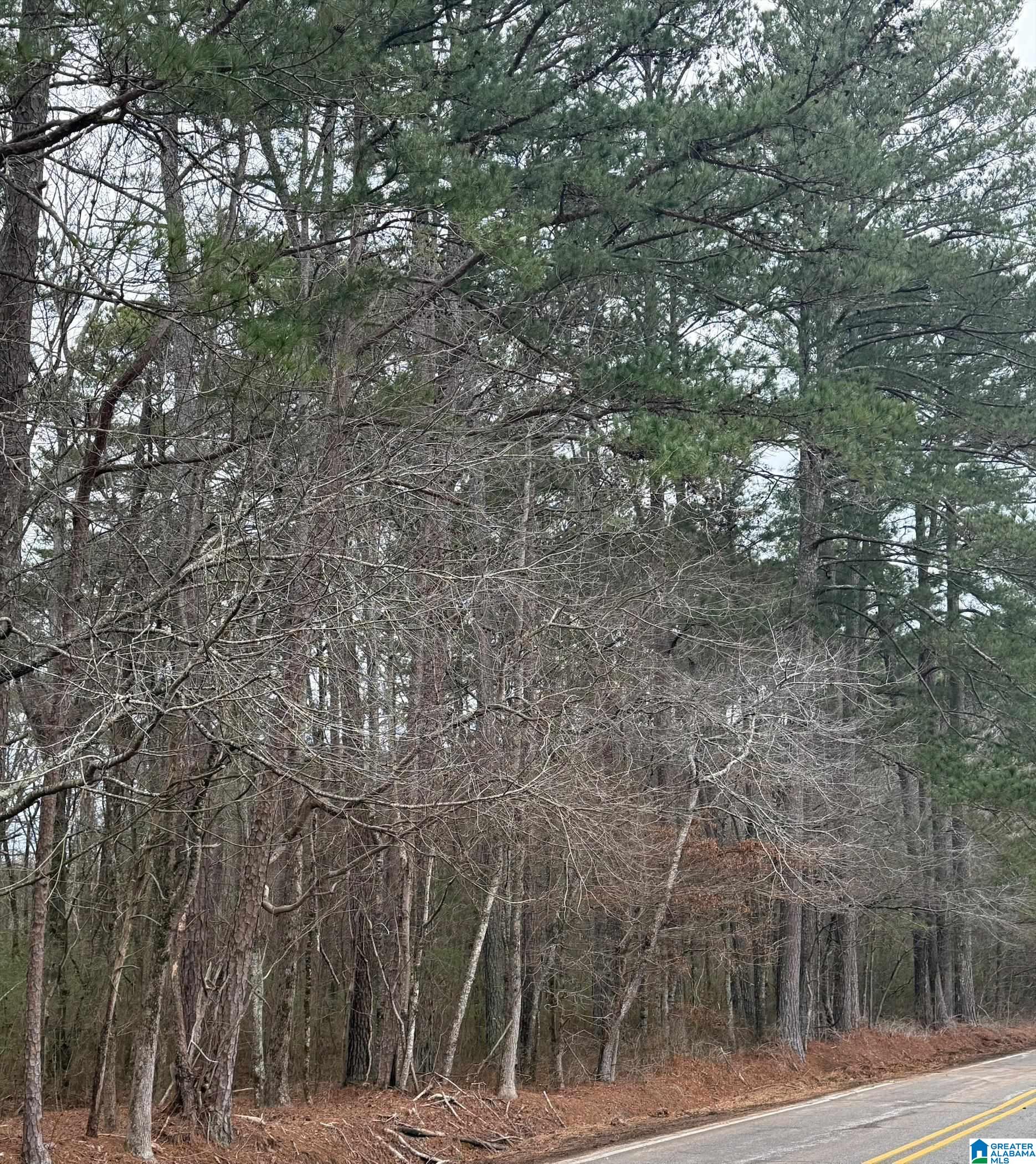 9040 MARSH MOUNTAIN ROAD 0