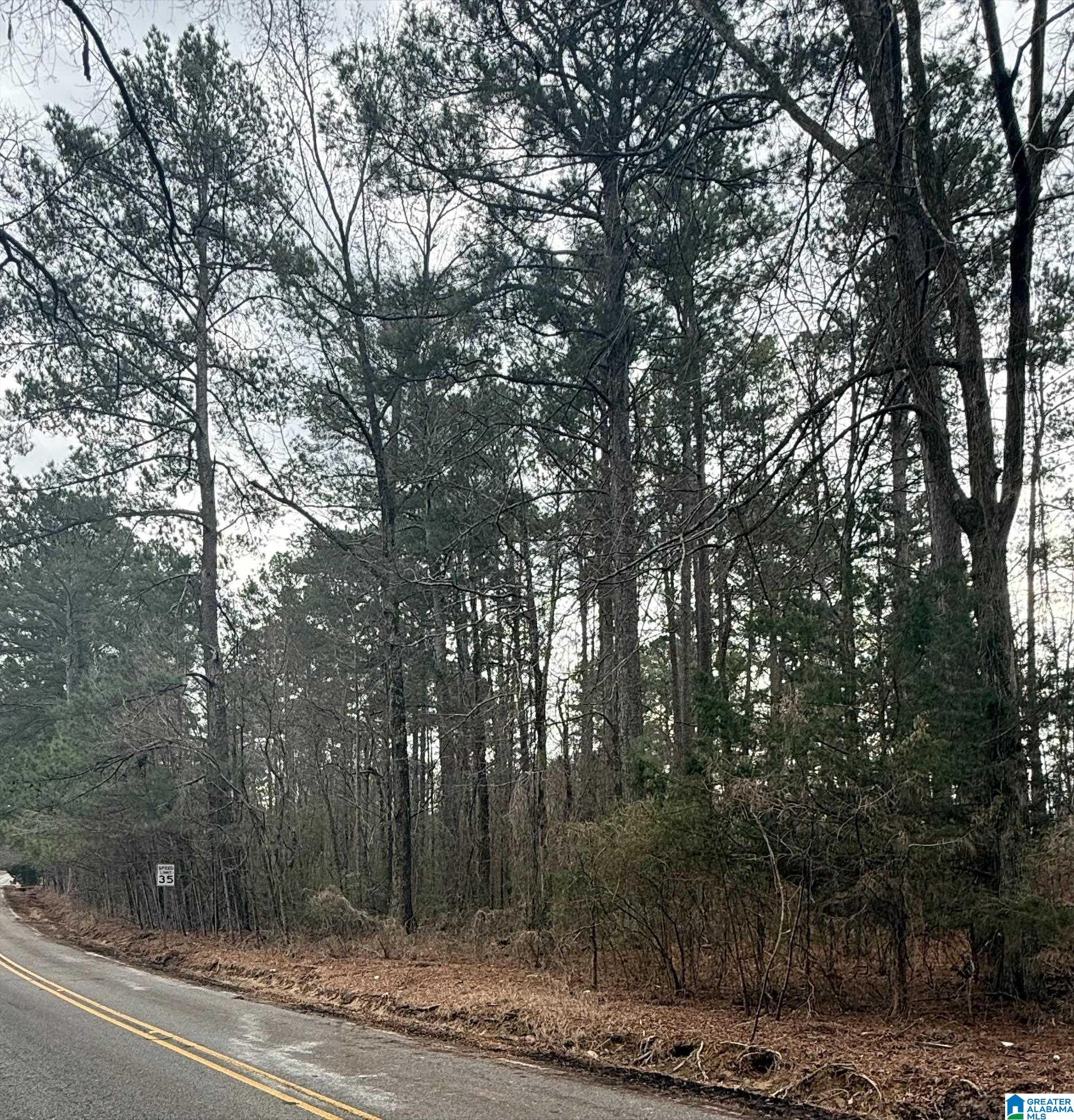 9040 MARSH MOUNTAIN ROAD 0