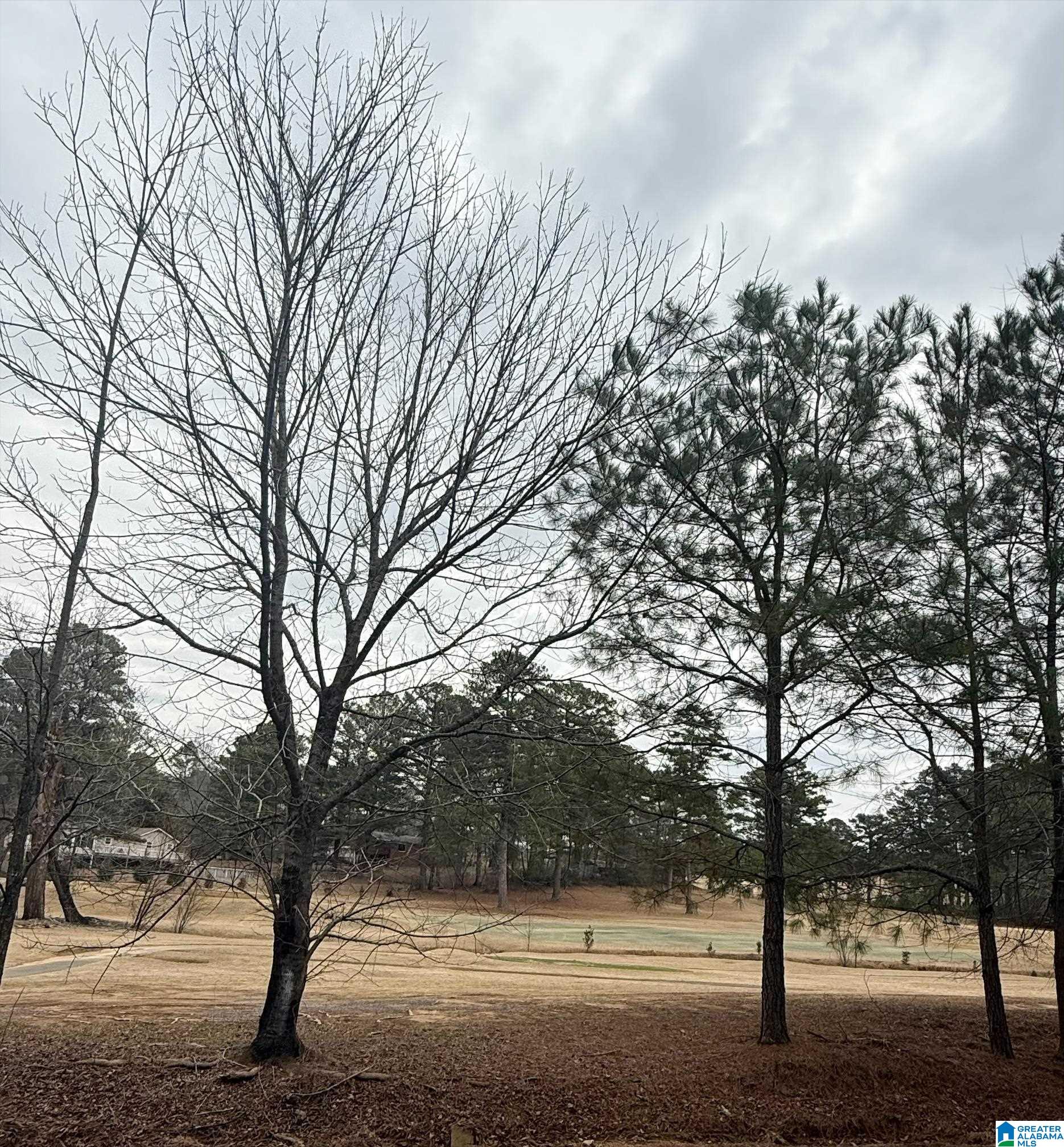 9040 MARSH MOUNTAIN ROAD 0