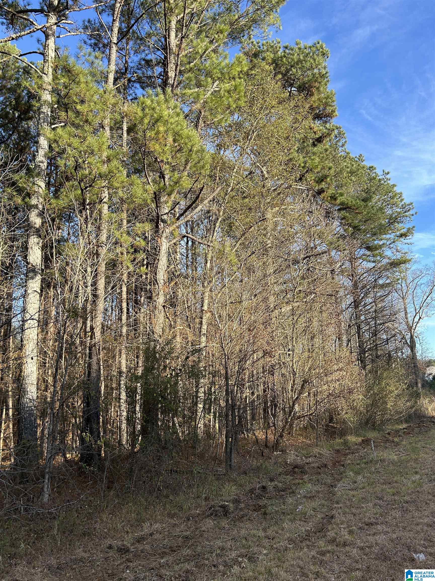 0 HIGHWAY 431 0 - Photo 2