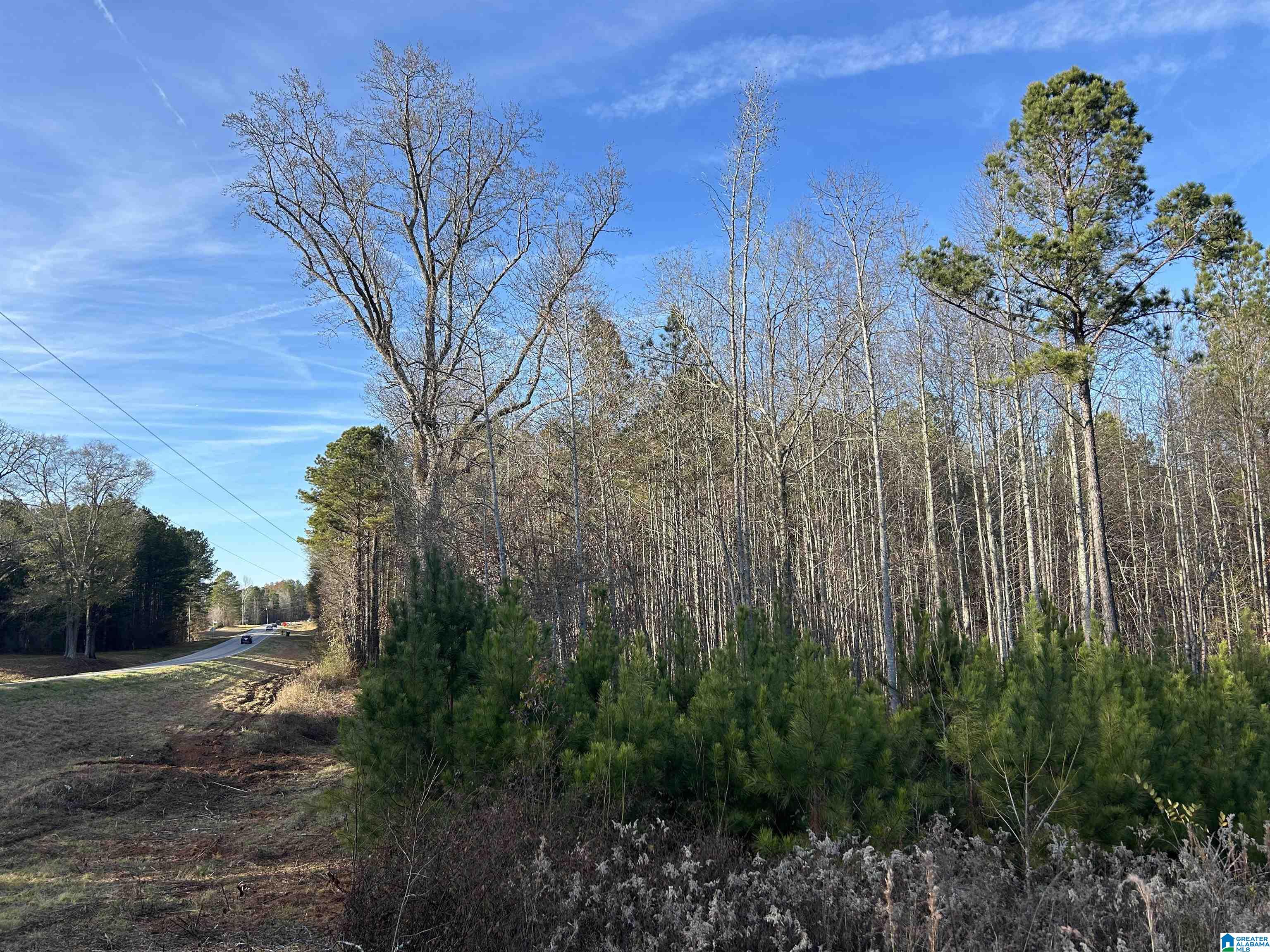 0 HIGHWAY 431 0 - Photo 3