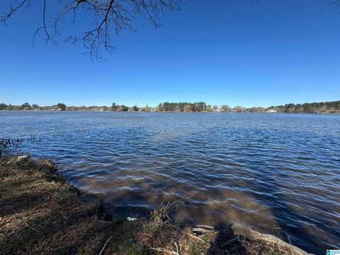 00 BOATHOUSE CIRCLE 109 SYLACAUGA AL 35151