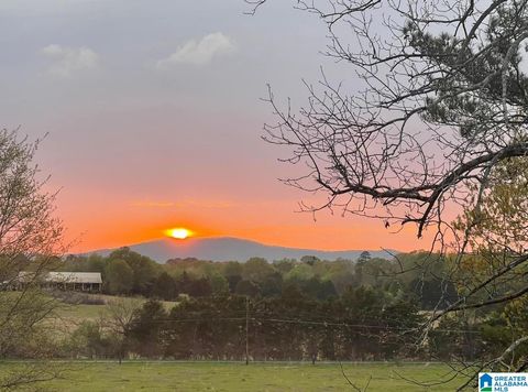 Photo of 314 Talladega Creek Road, TALLADEGA, AL 35160 (MLS # 21448576)