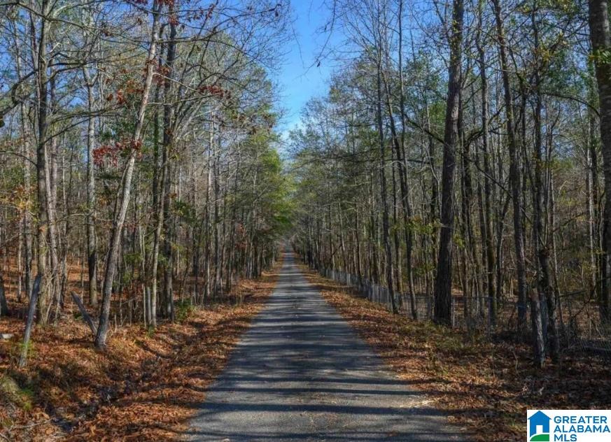 0 COUNTY ROAD 73 1