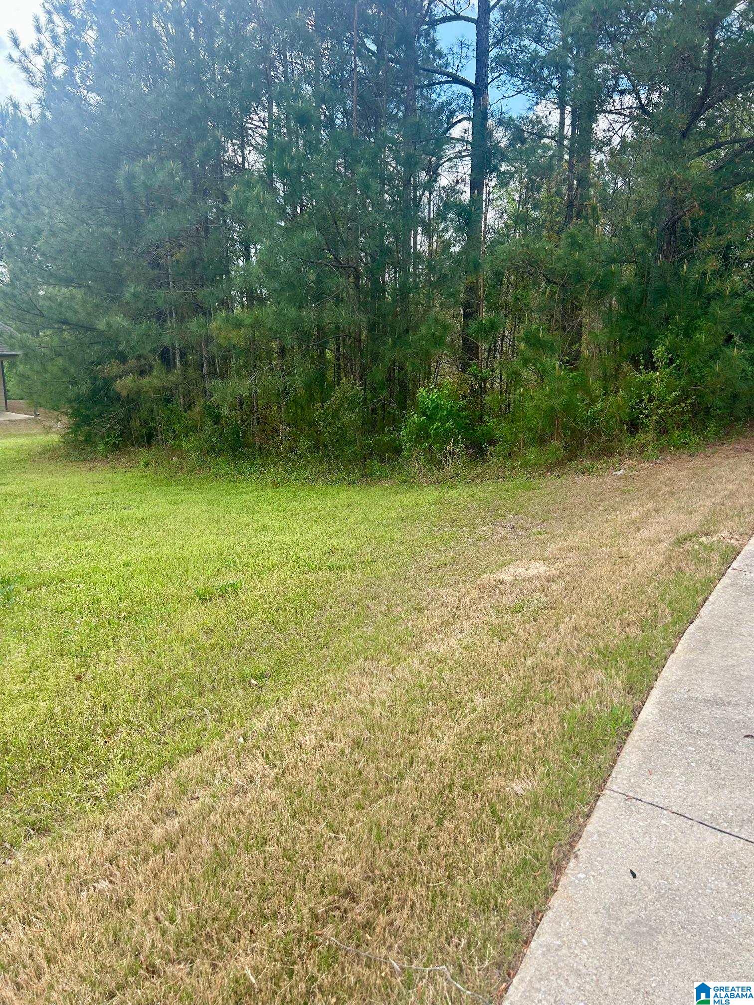 2042 TIMBERLINE DRIVE